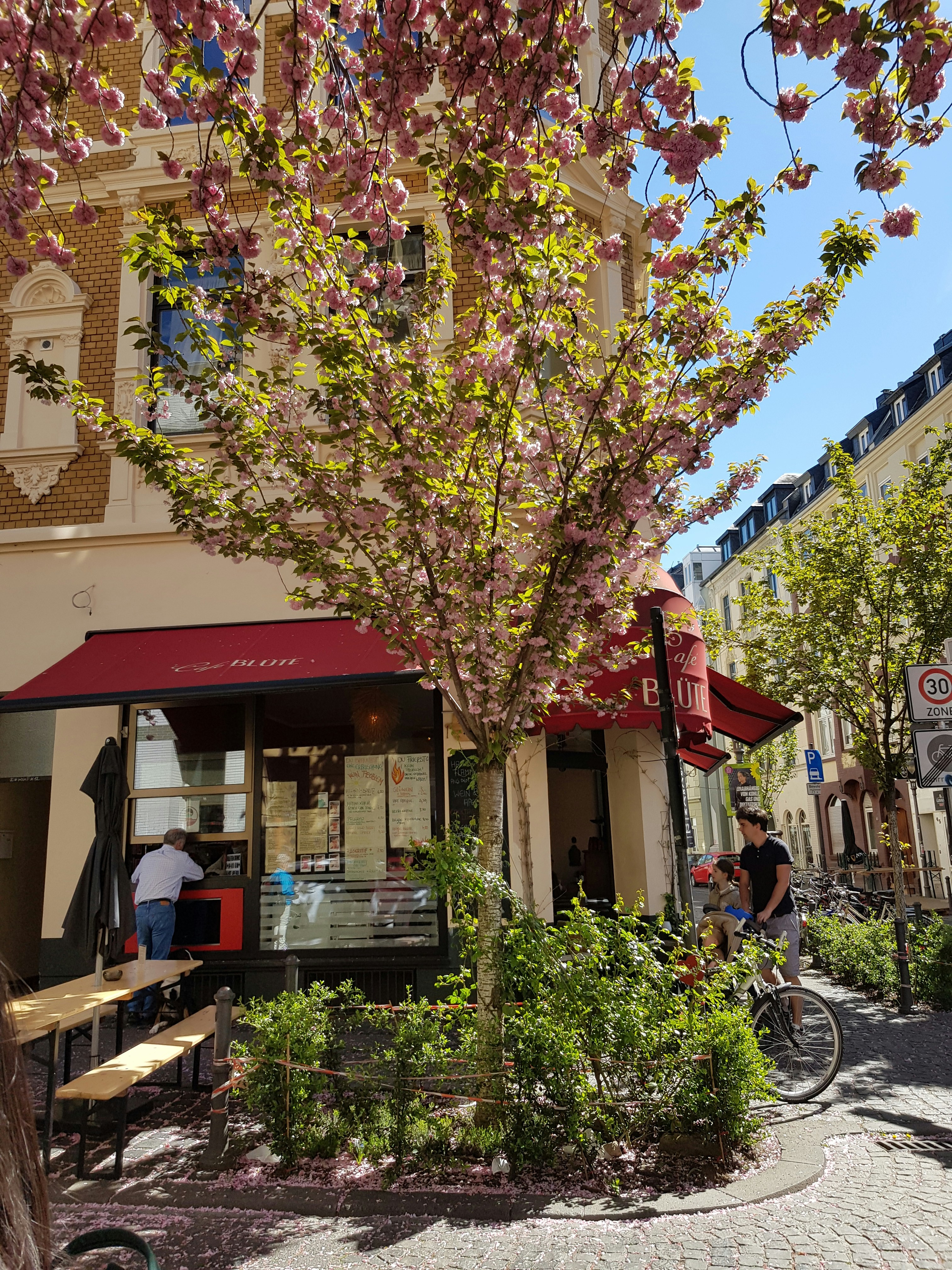 Photo by dungnguyen98