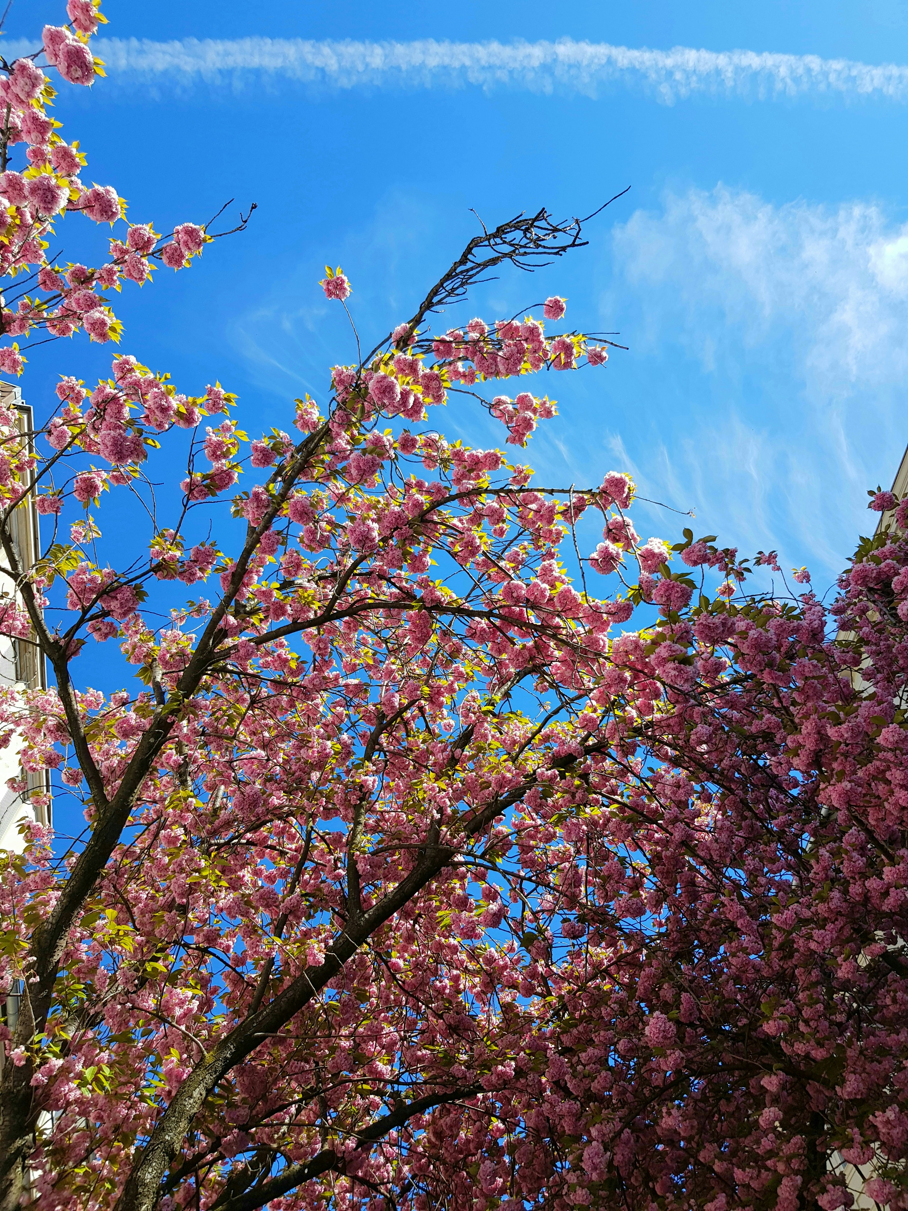 Photo by dungnguyen98