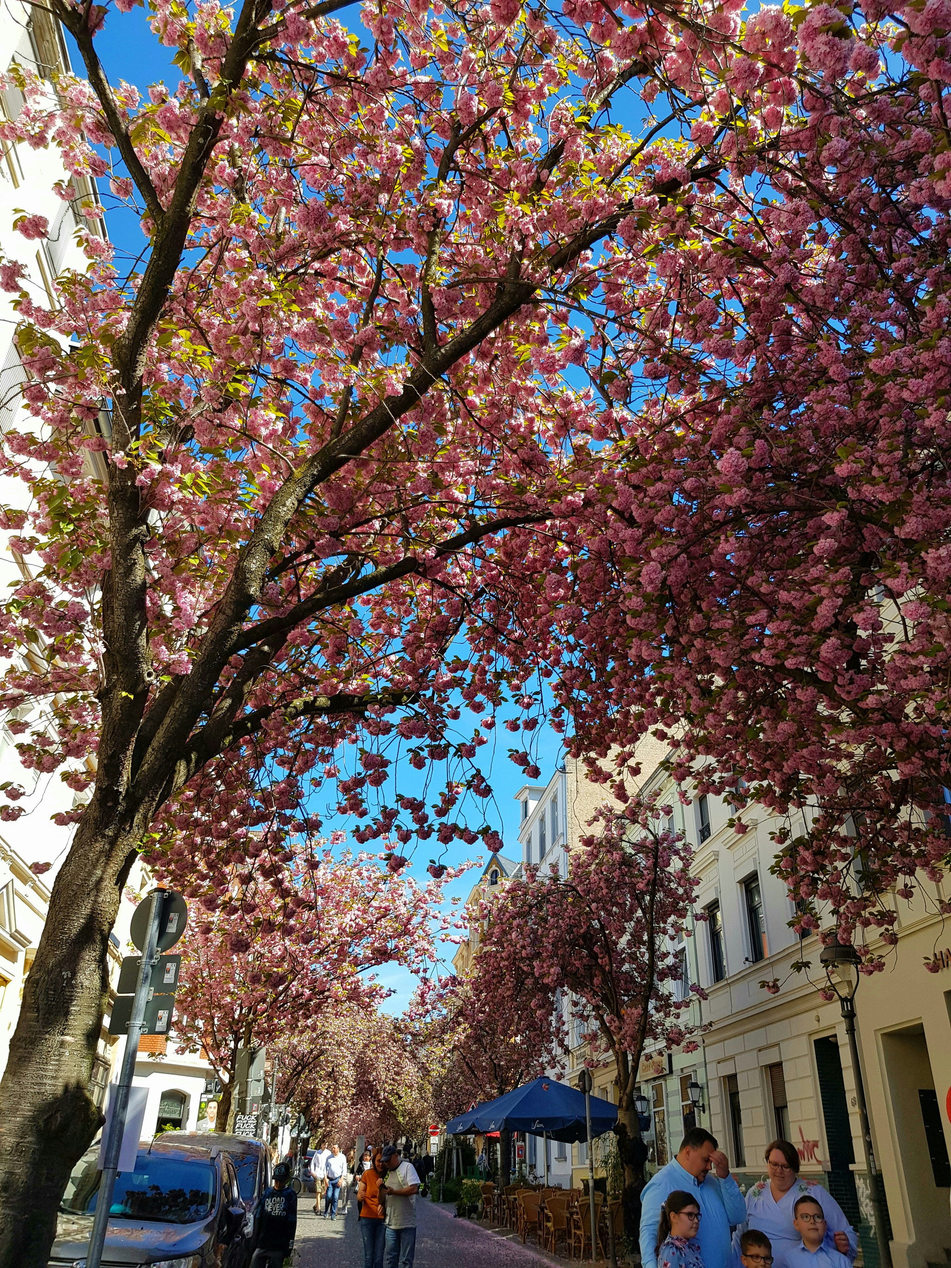 Photo by dungnguyen98