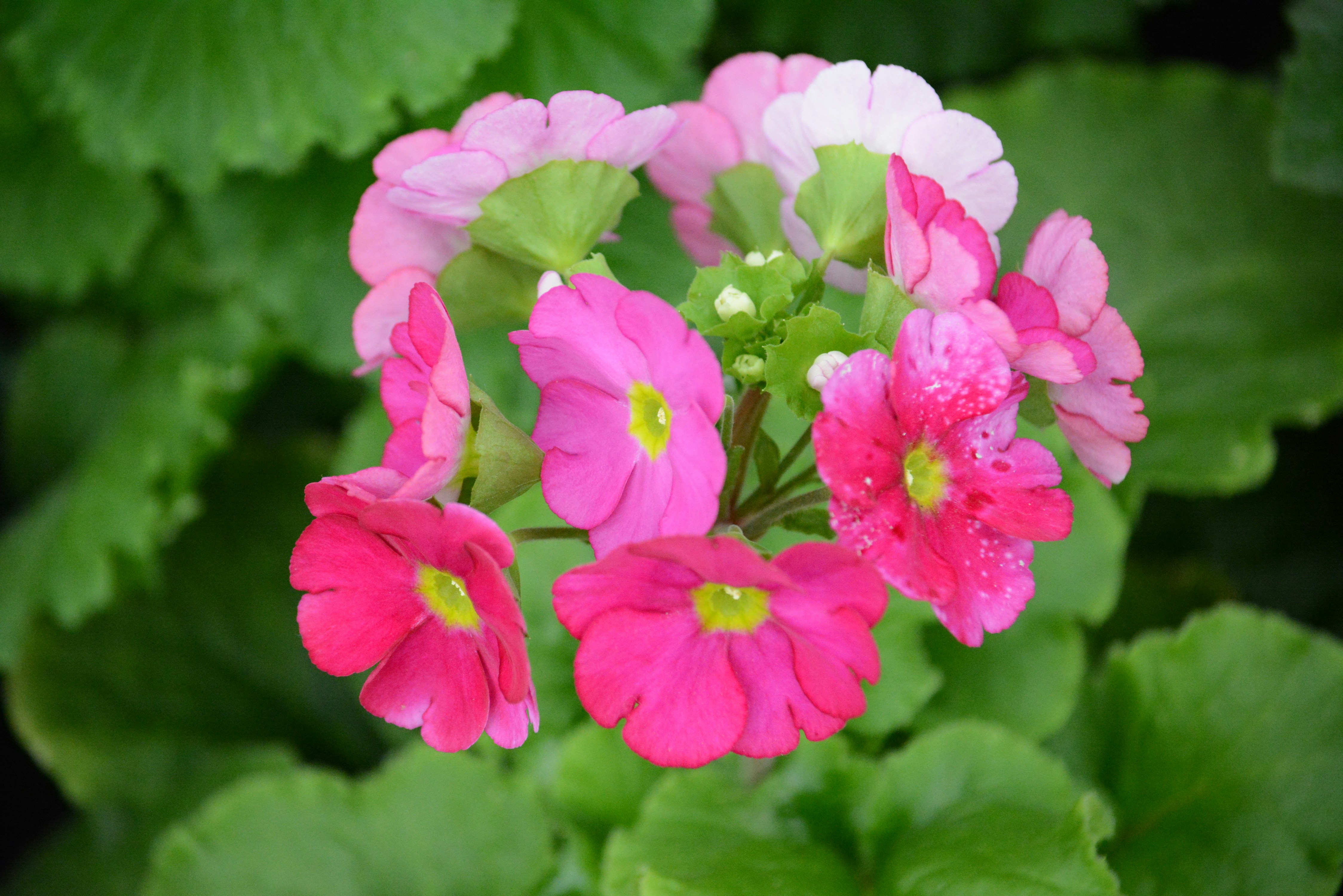 Photo by richard7seals