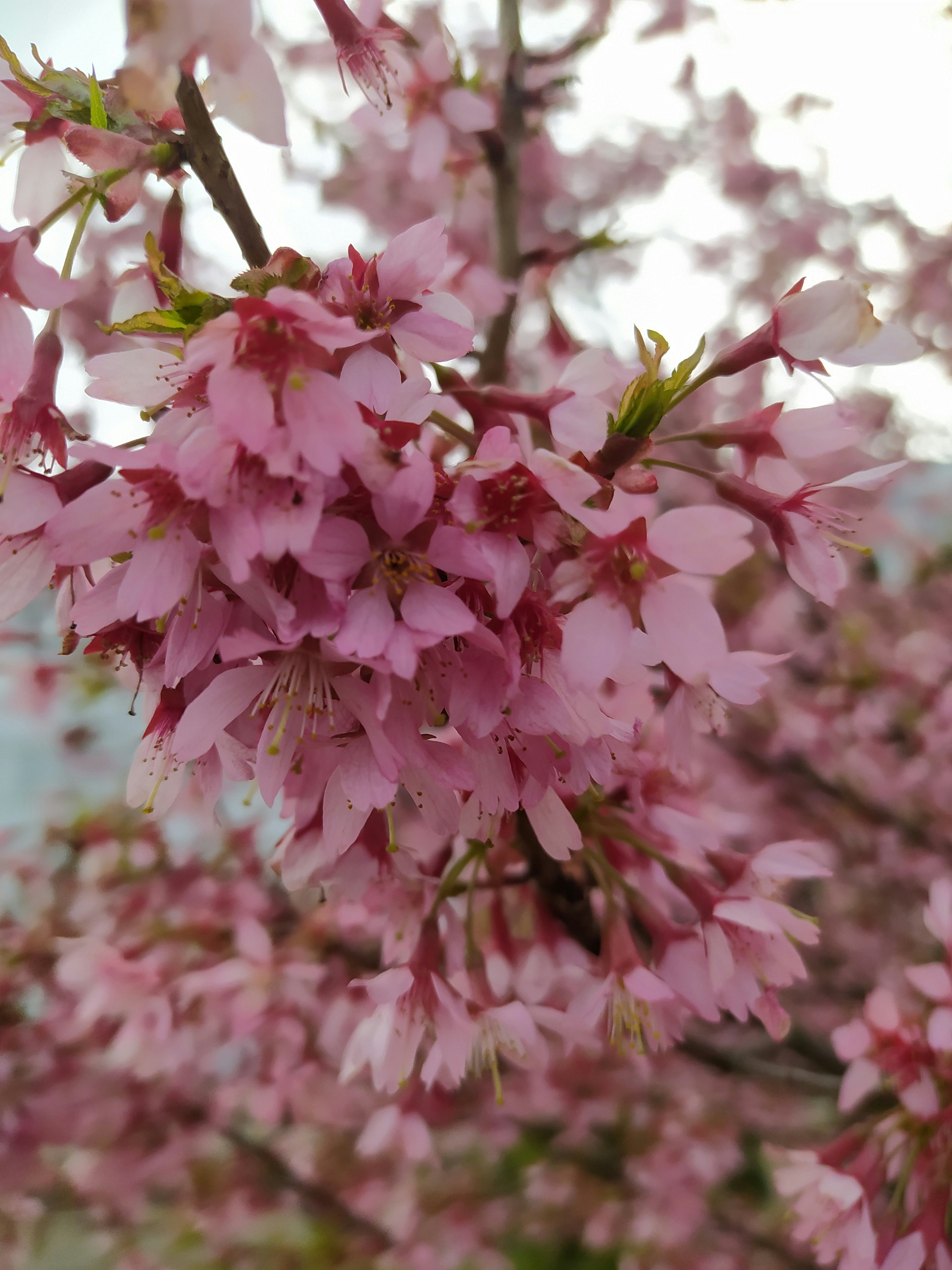 Photo by helen_zahrai