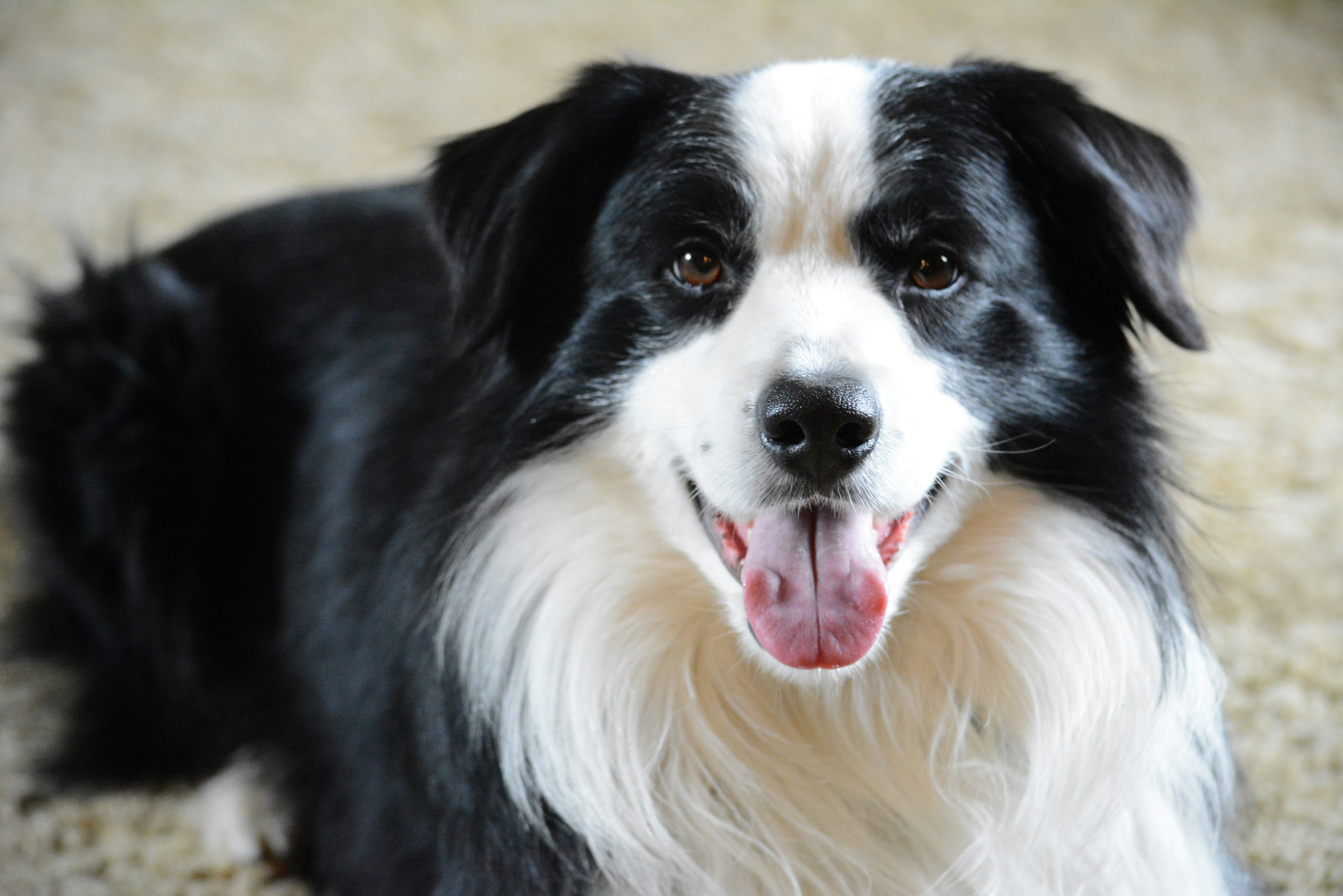 Photo by richard7seals