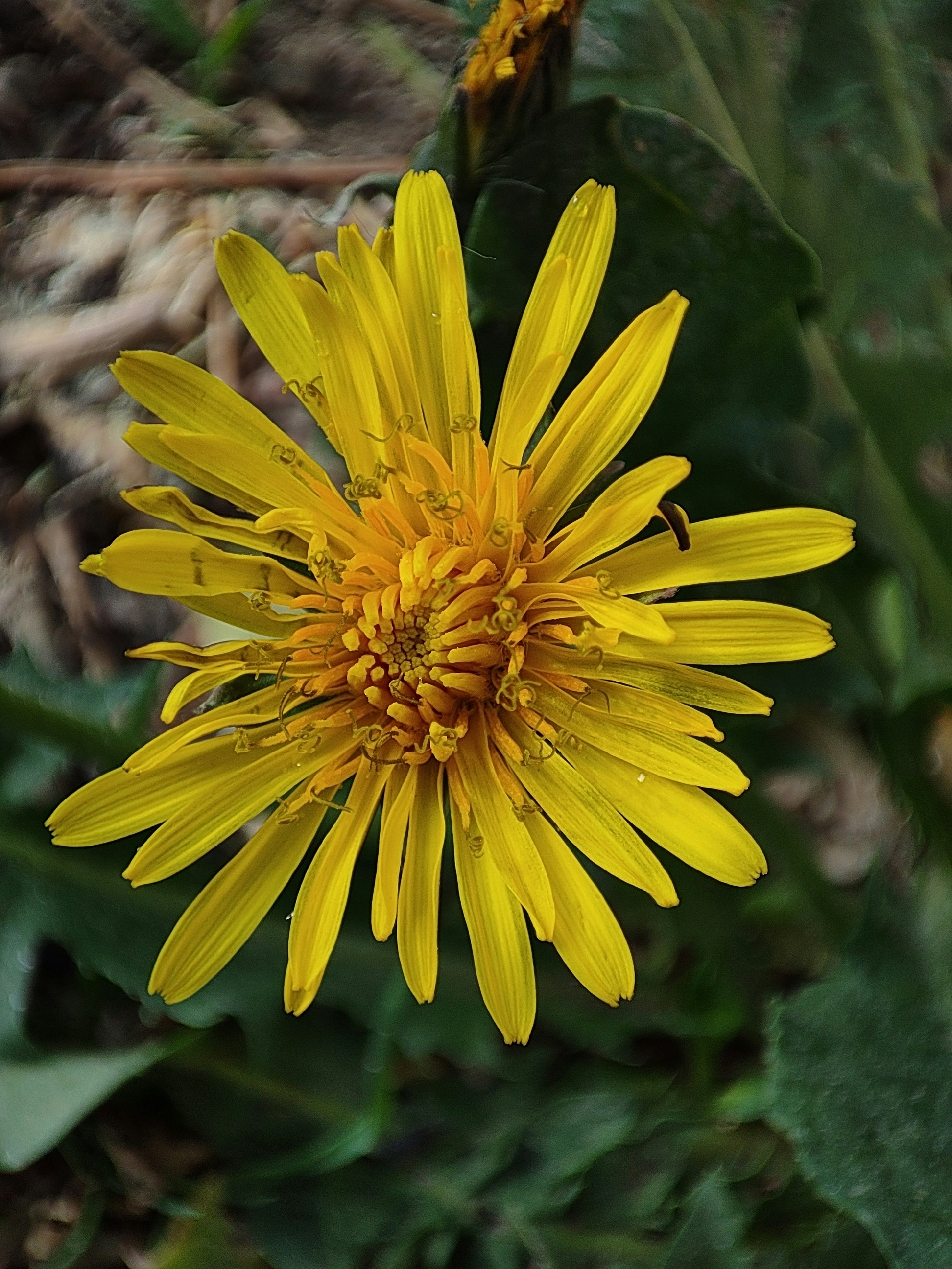 Photo by hossein62311