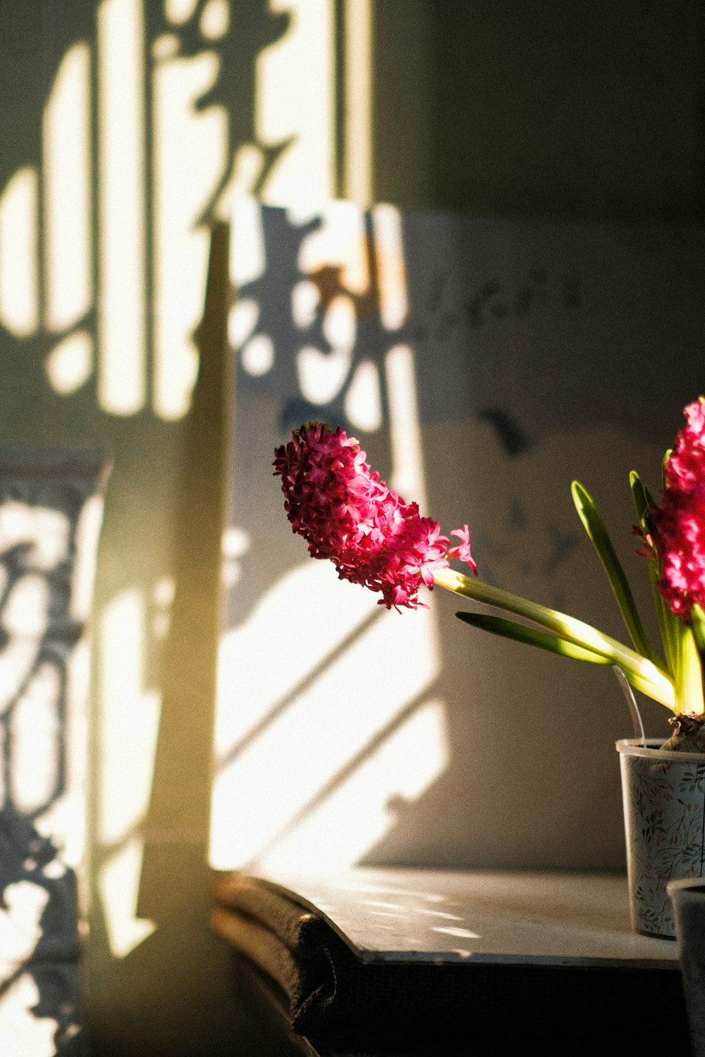 a red flower in a vase