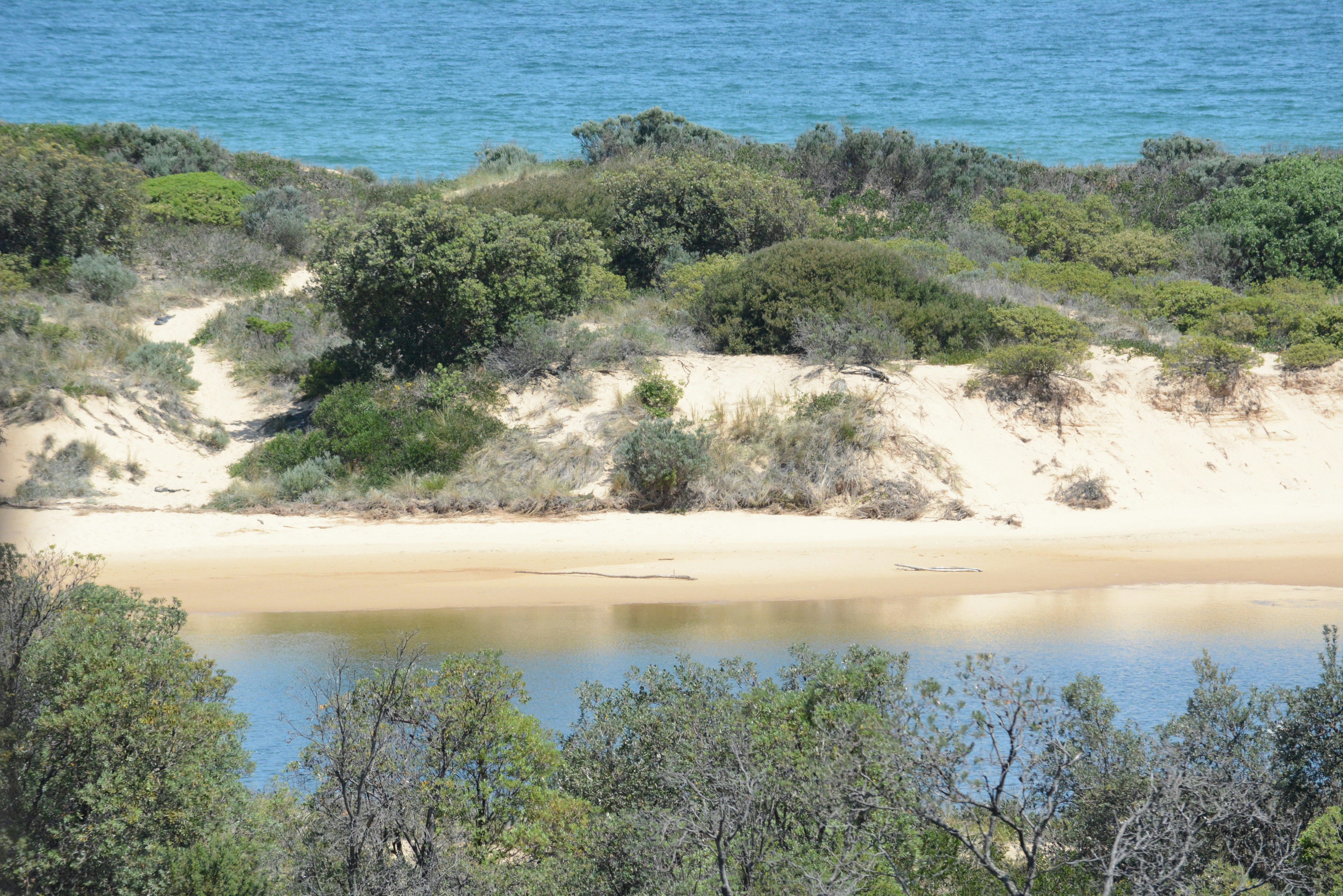 Photo by richard7seals