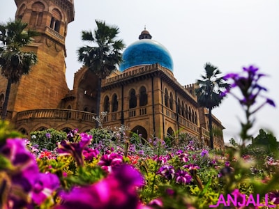 a building with a dome and palm trees in front of it