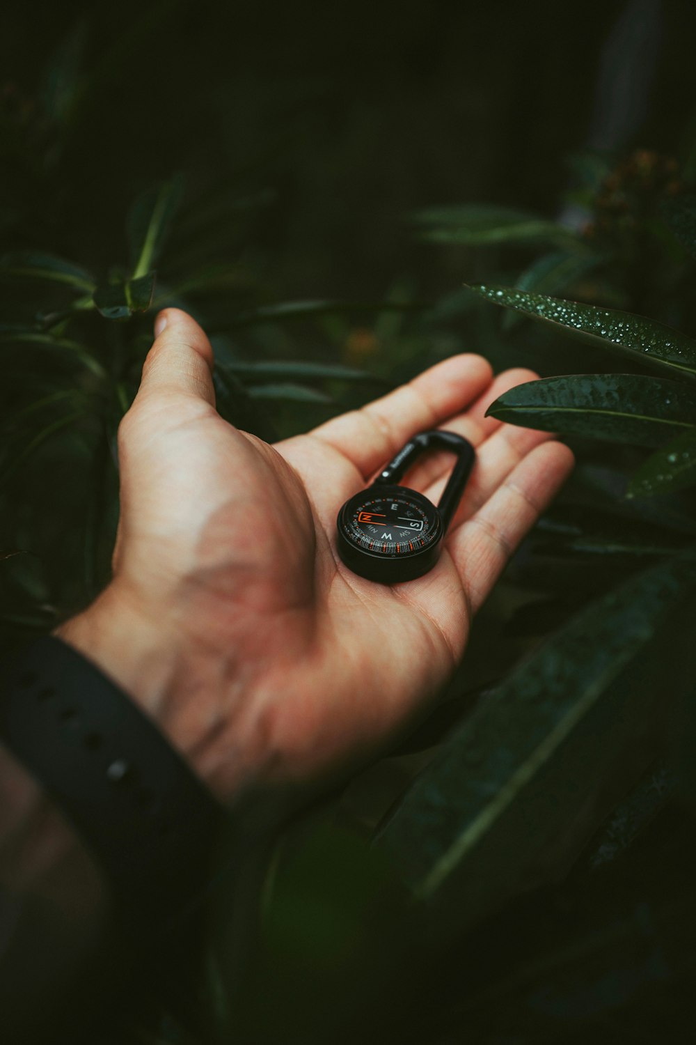 a hand holding a small black watch