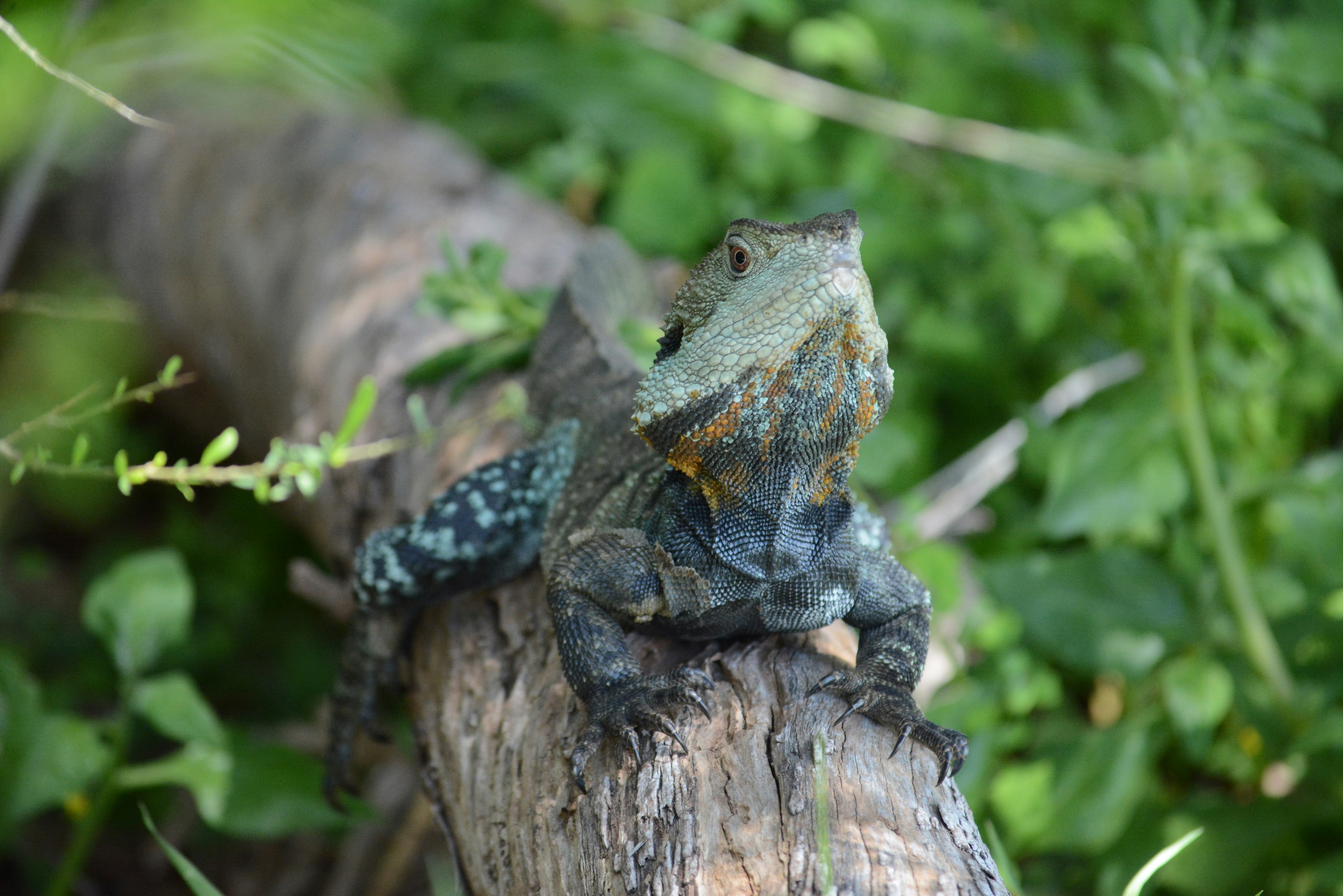 Photo by richard7seals