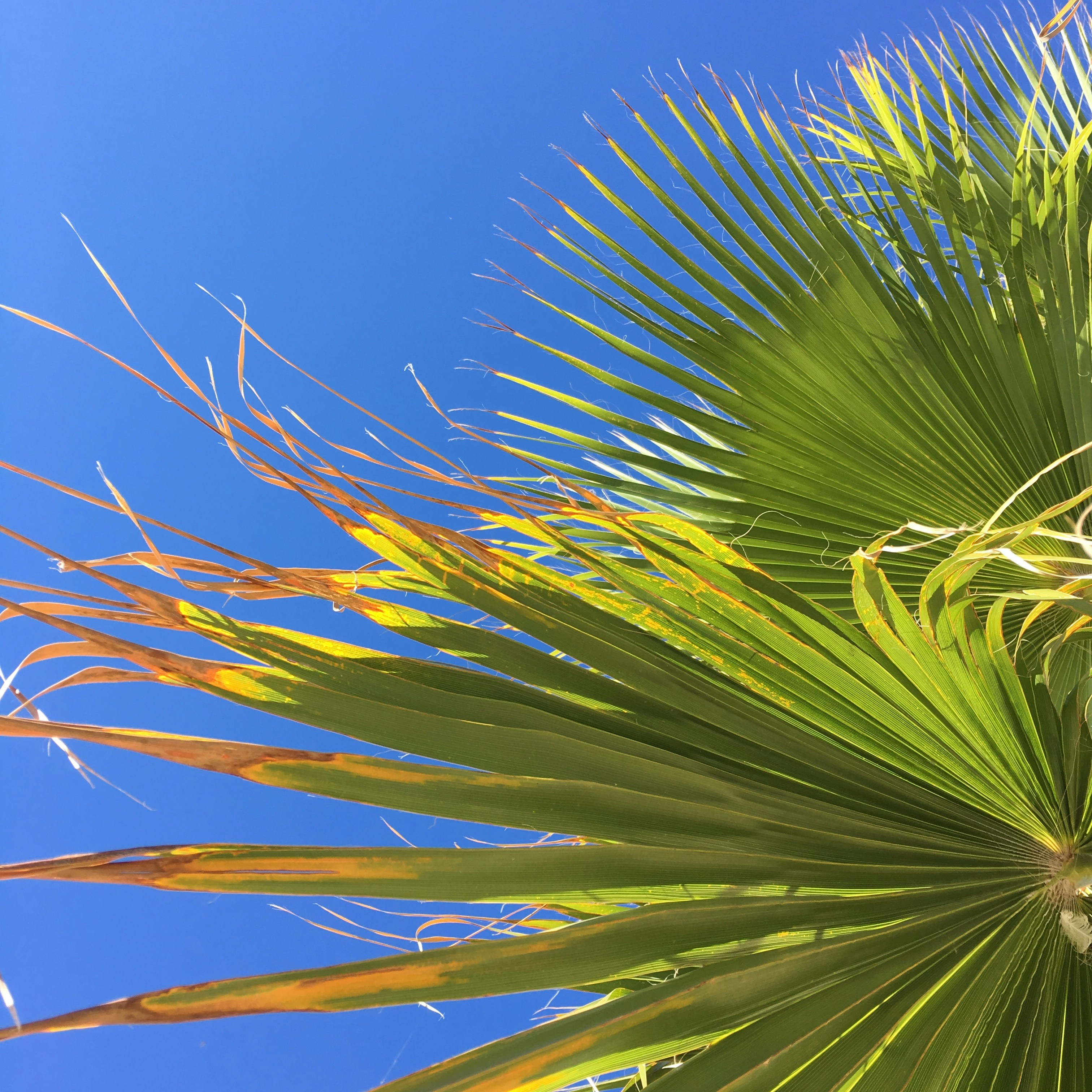 Photo by inesisabbell_photo