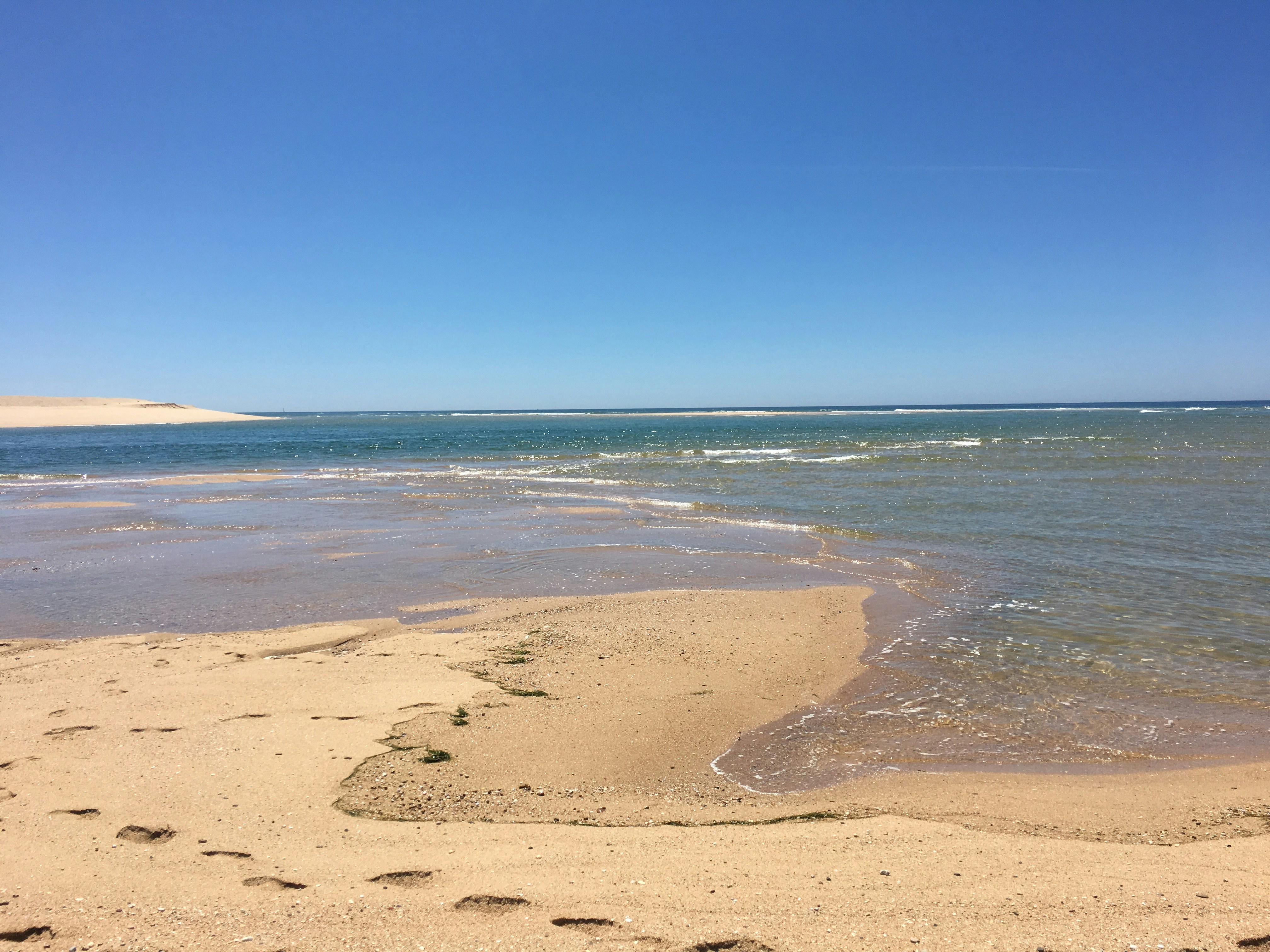 Photo by inesisabbell_photo