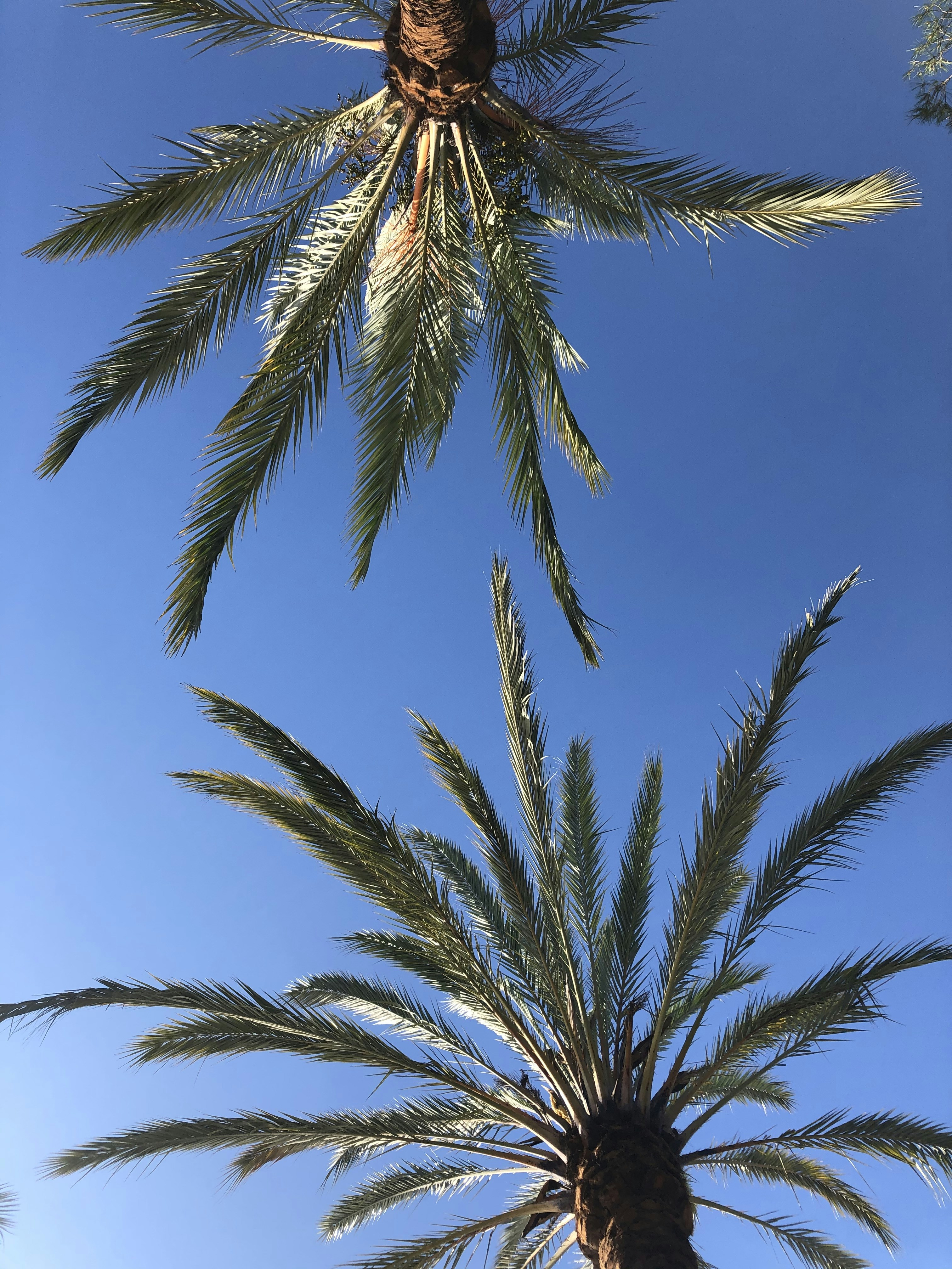 Photo by inesisabbell_photo