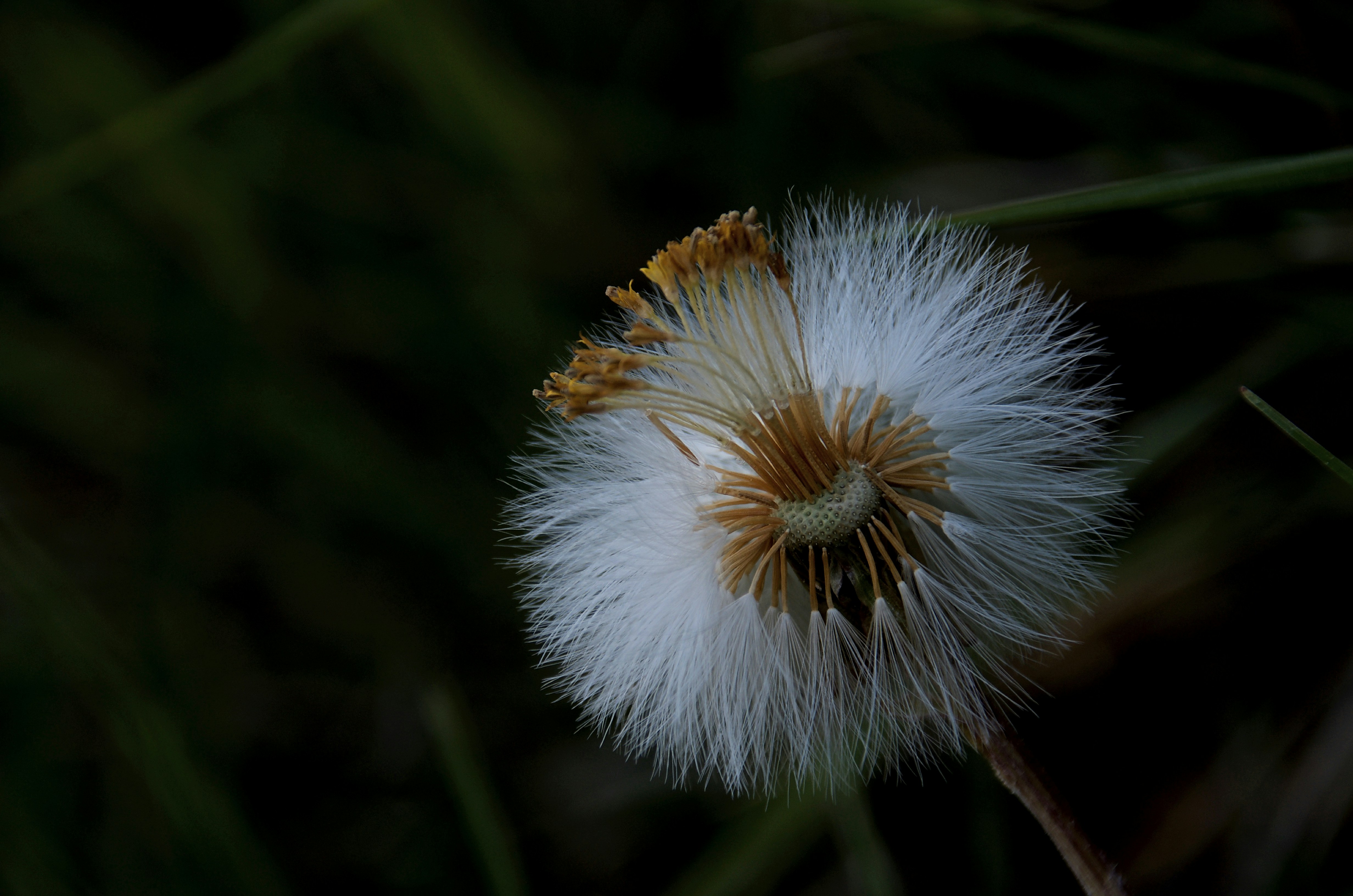 Photo by mariobeducci