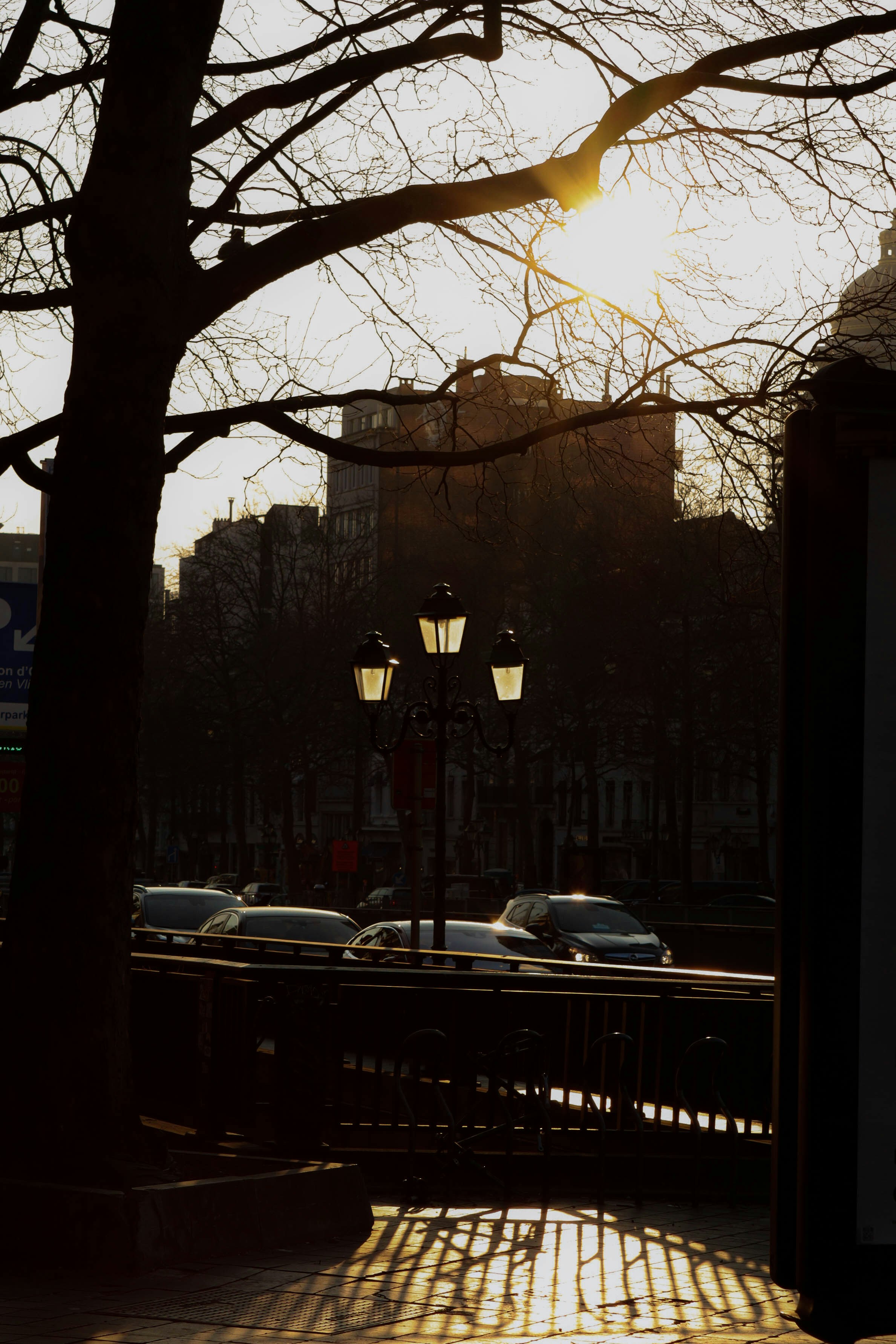 Photo by celickx_photography