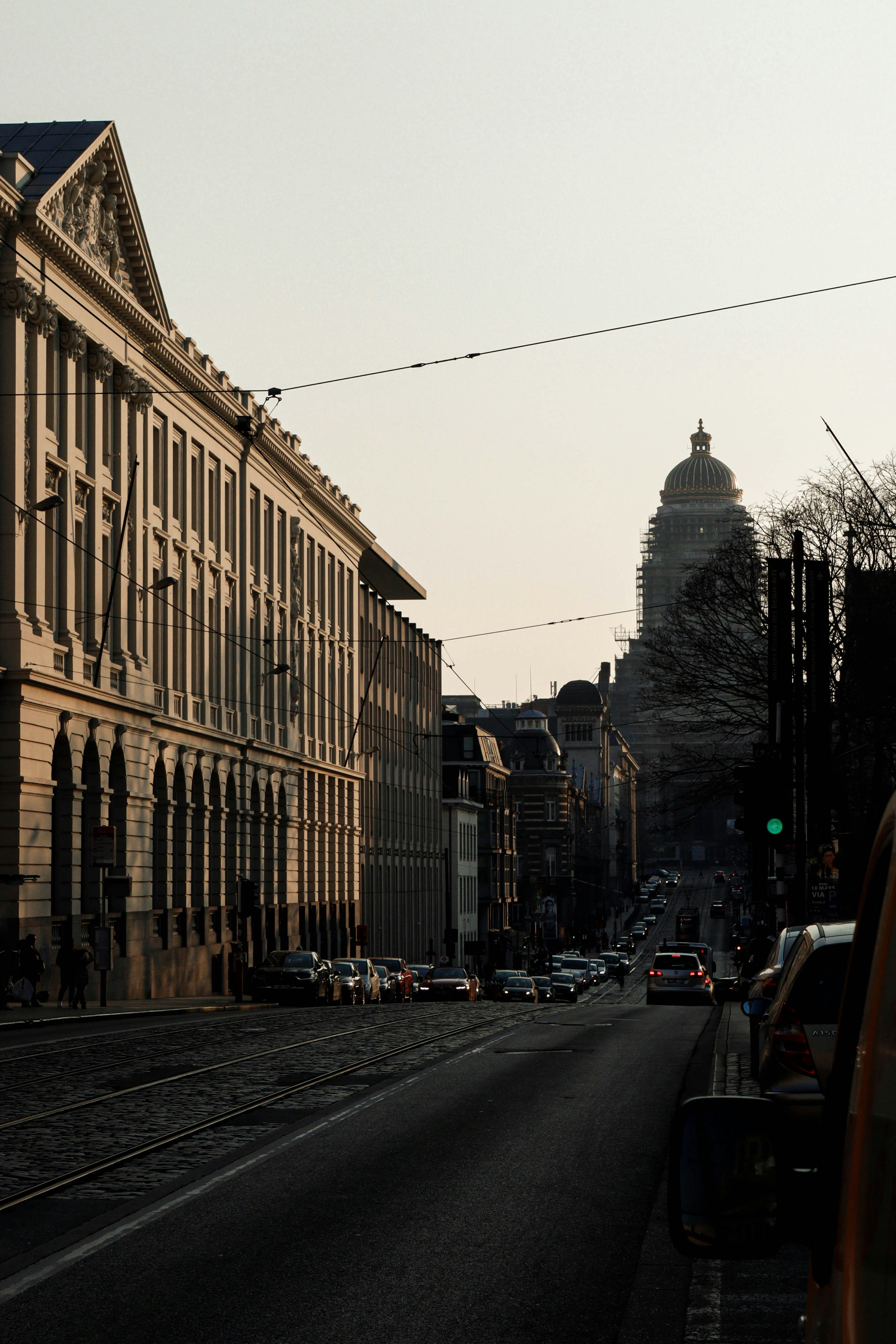 Photo by celickx_photography