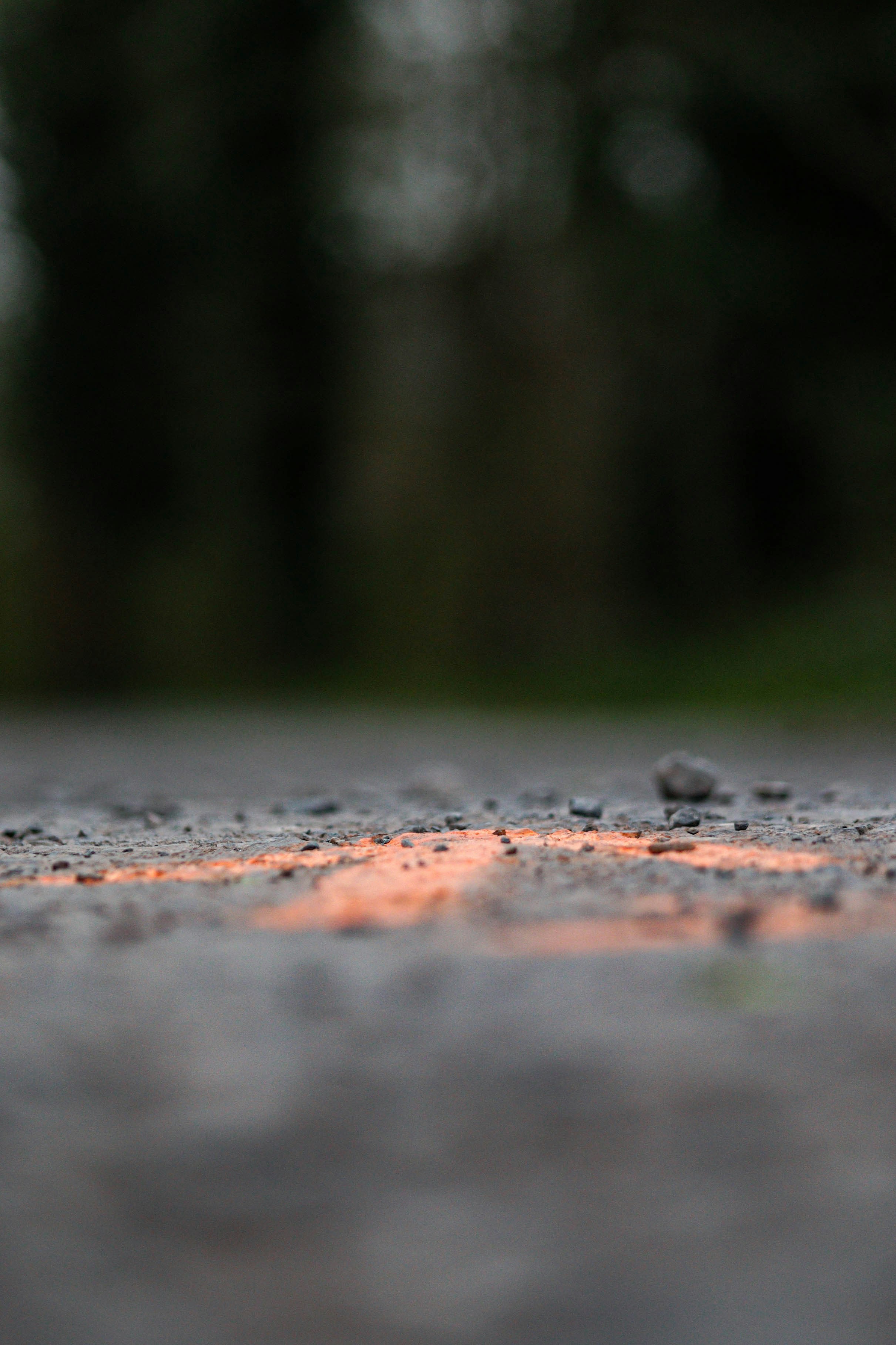 Photo by celickx_photography