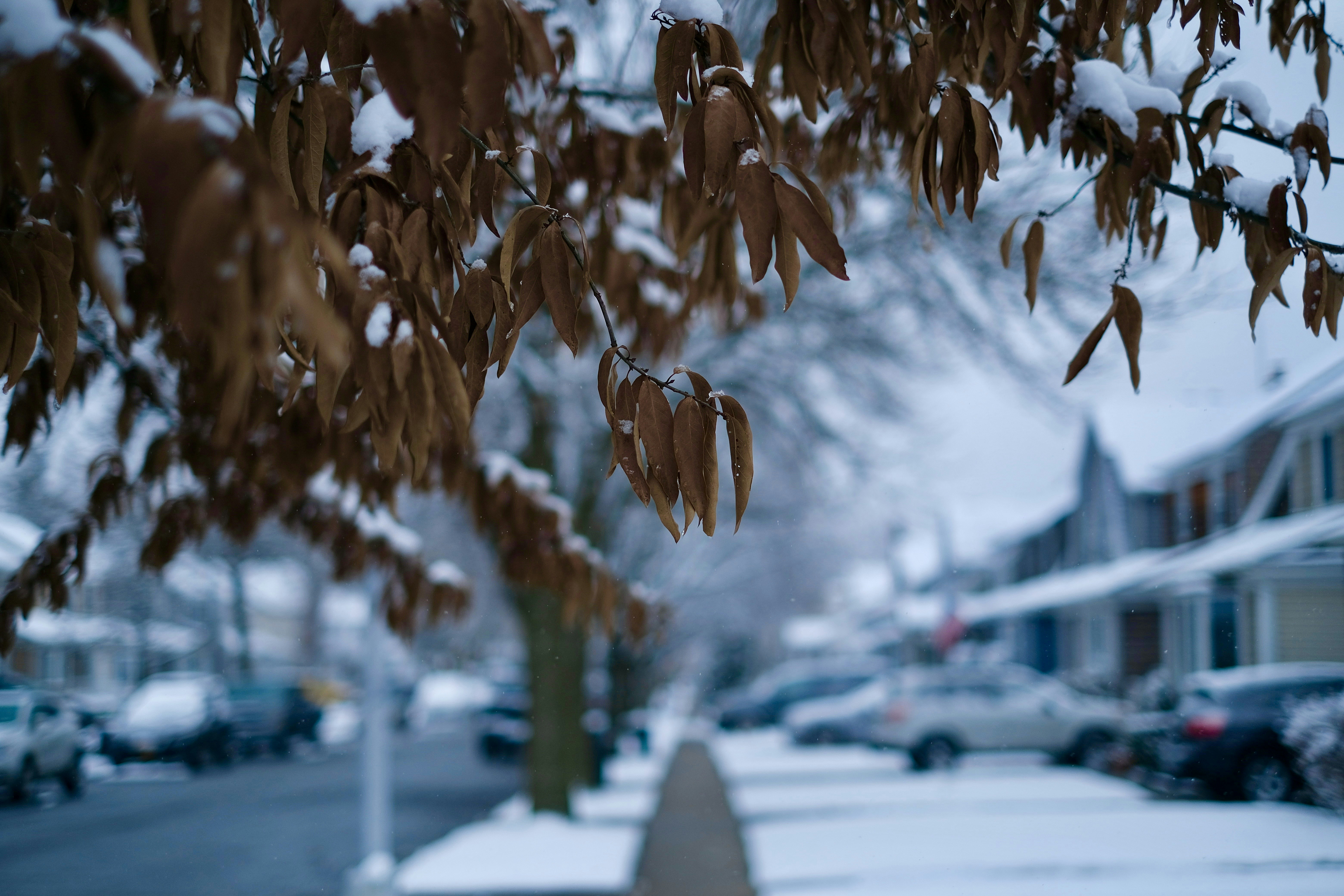 Photo by iwank_allday