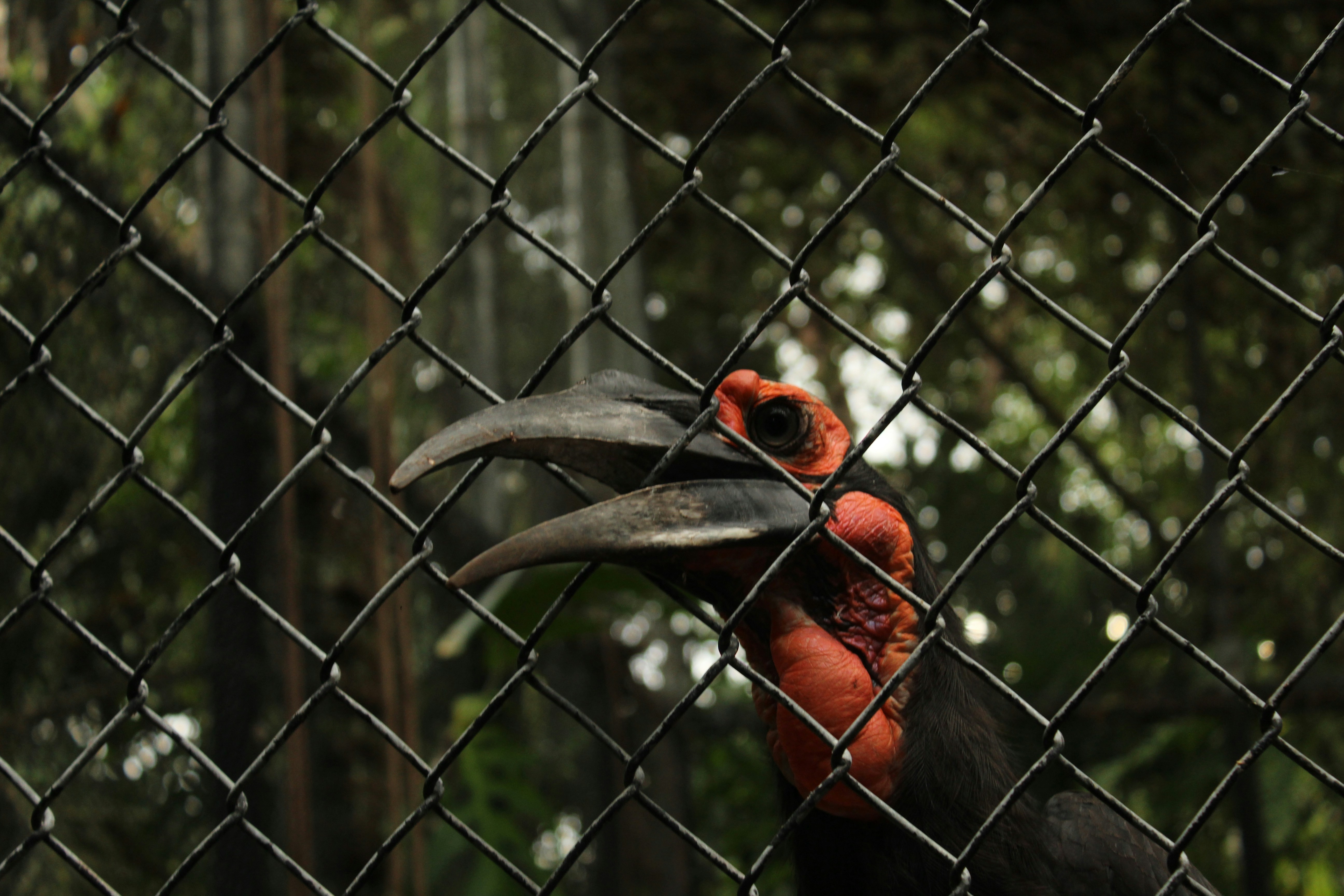 Photo by ethanshan
