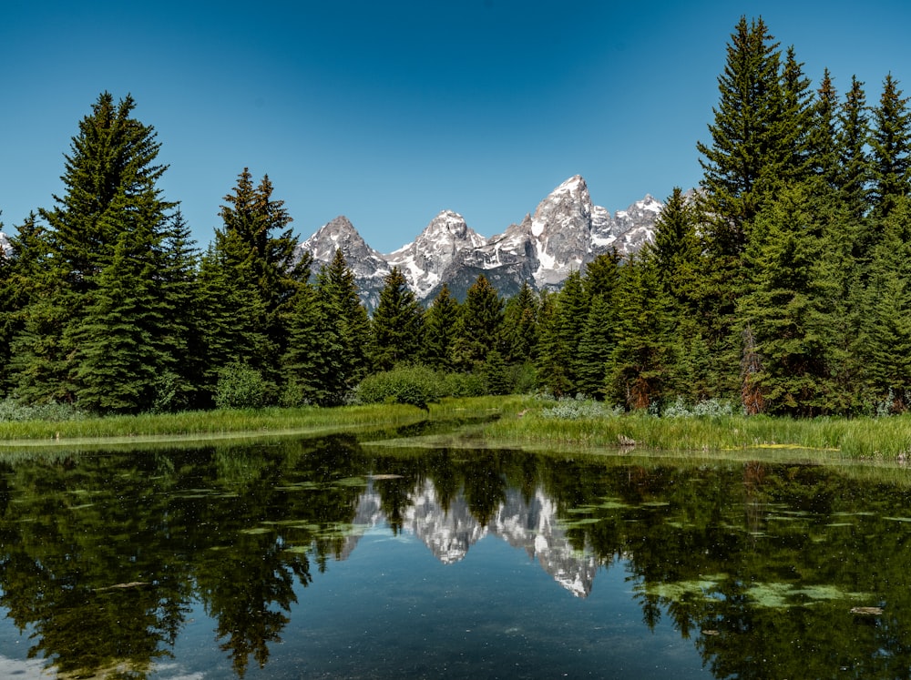 a lake with trees and mountains in the background