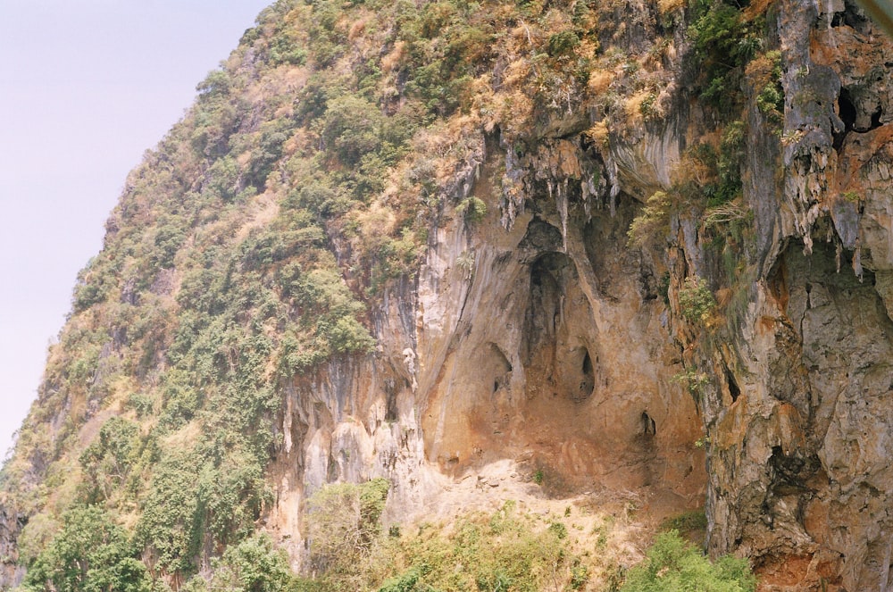 a cliff with a cave in it