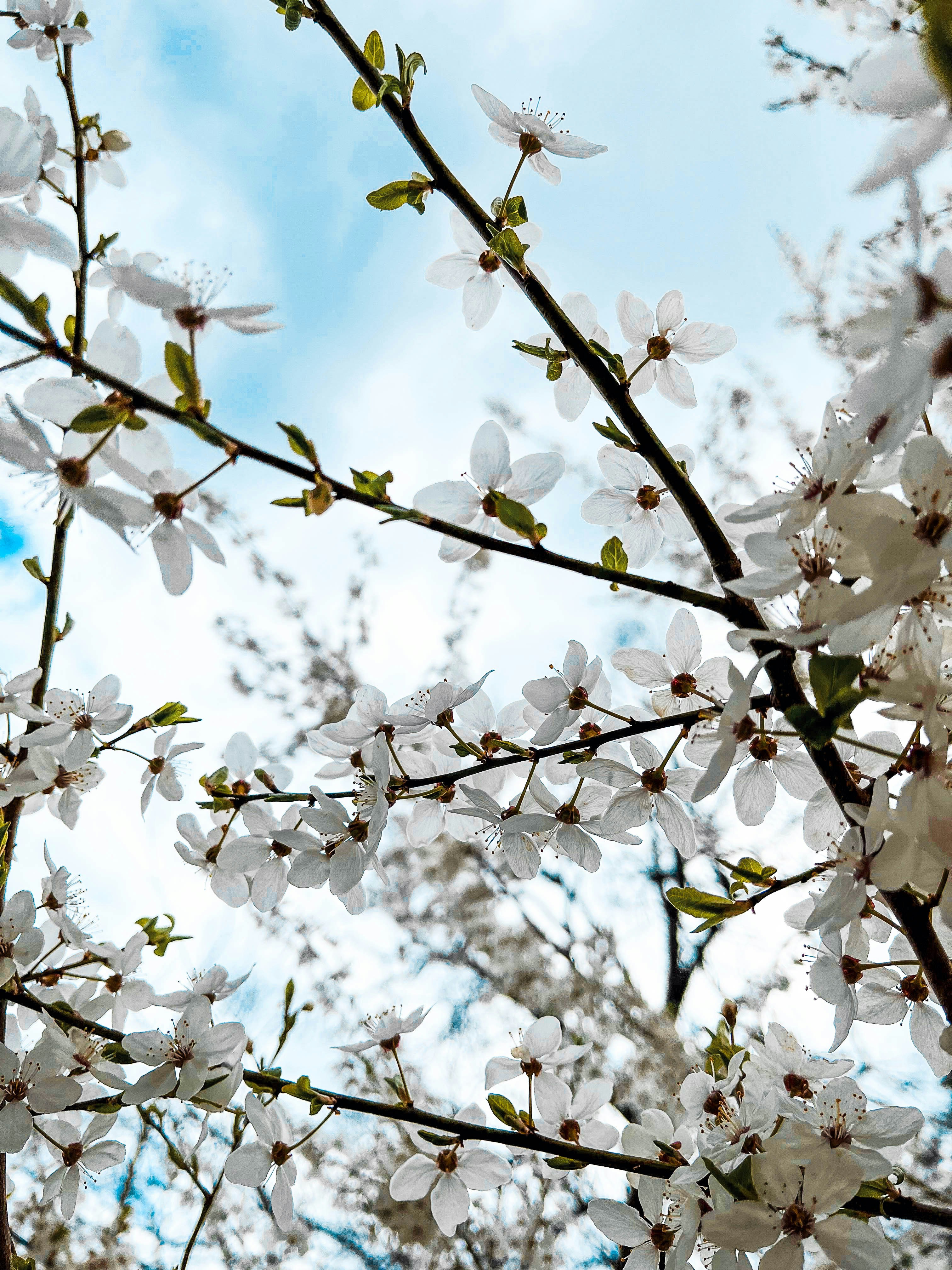 Photo by travelertraveler_