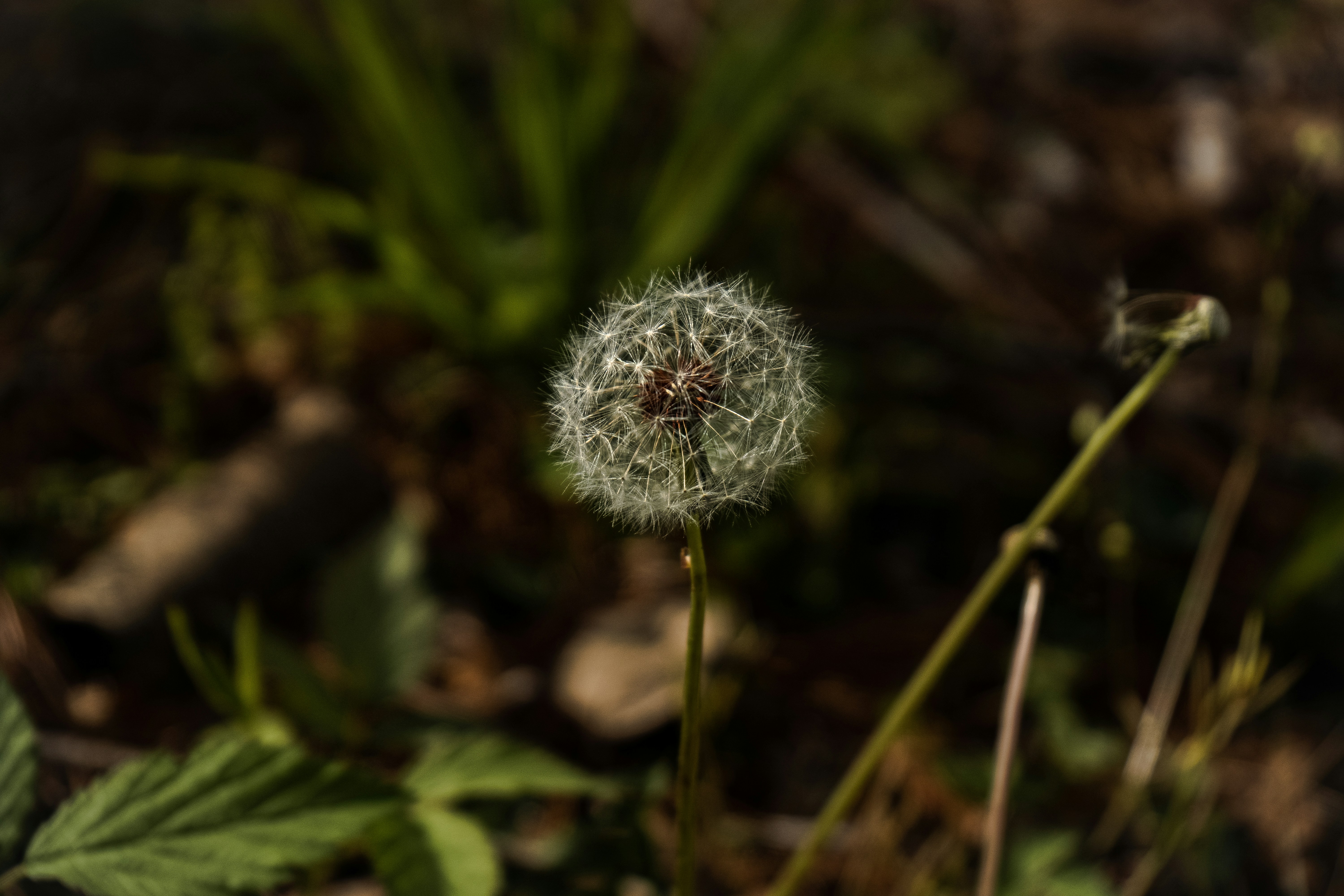 Photo by dylan_michaud