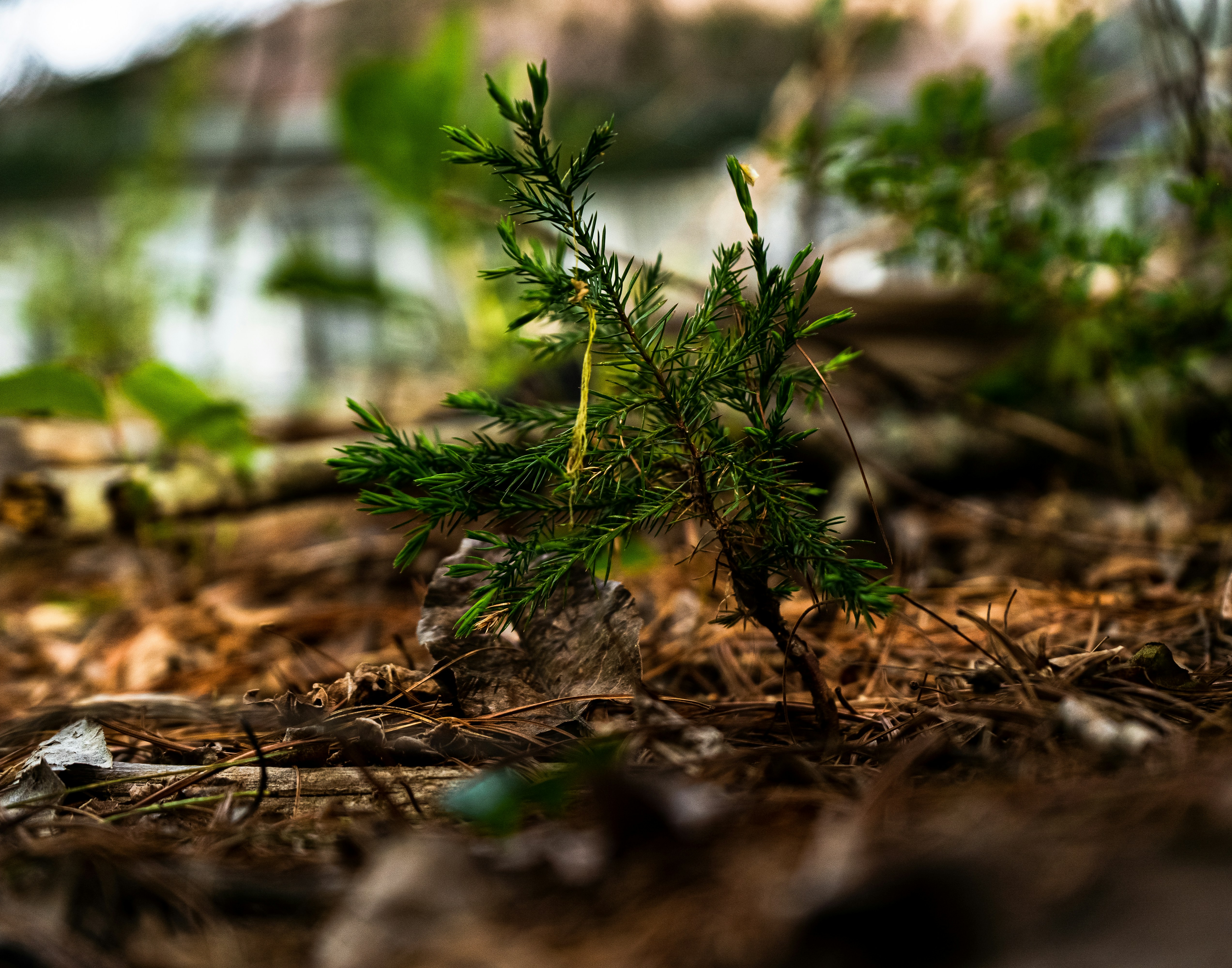 Photo by dylan_michaud