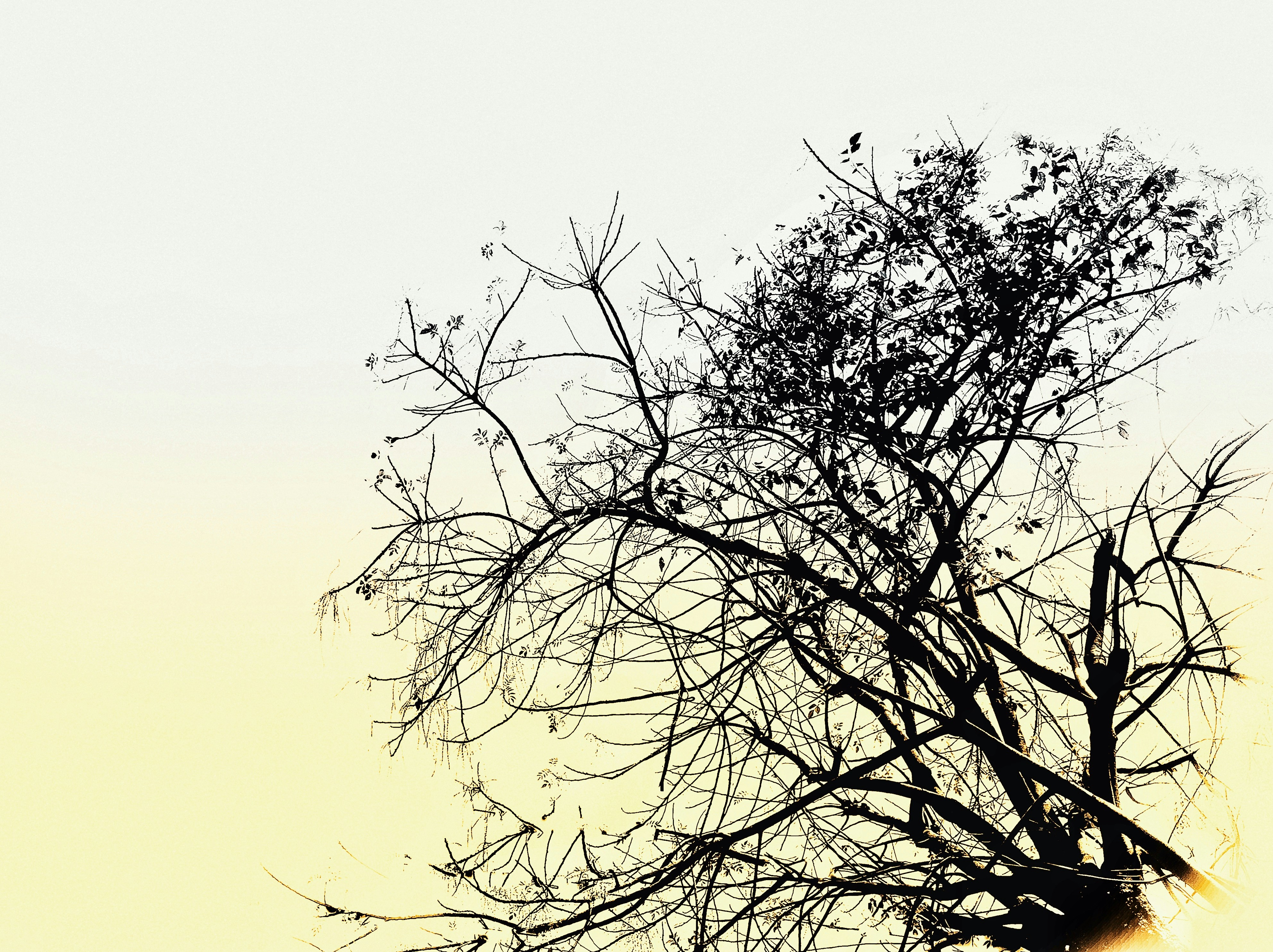 Photo by yulianiwilda16