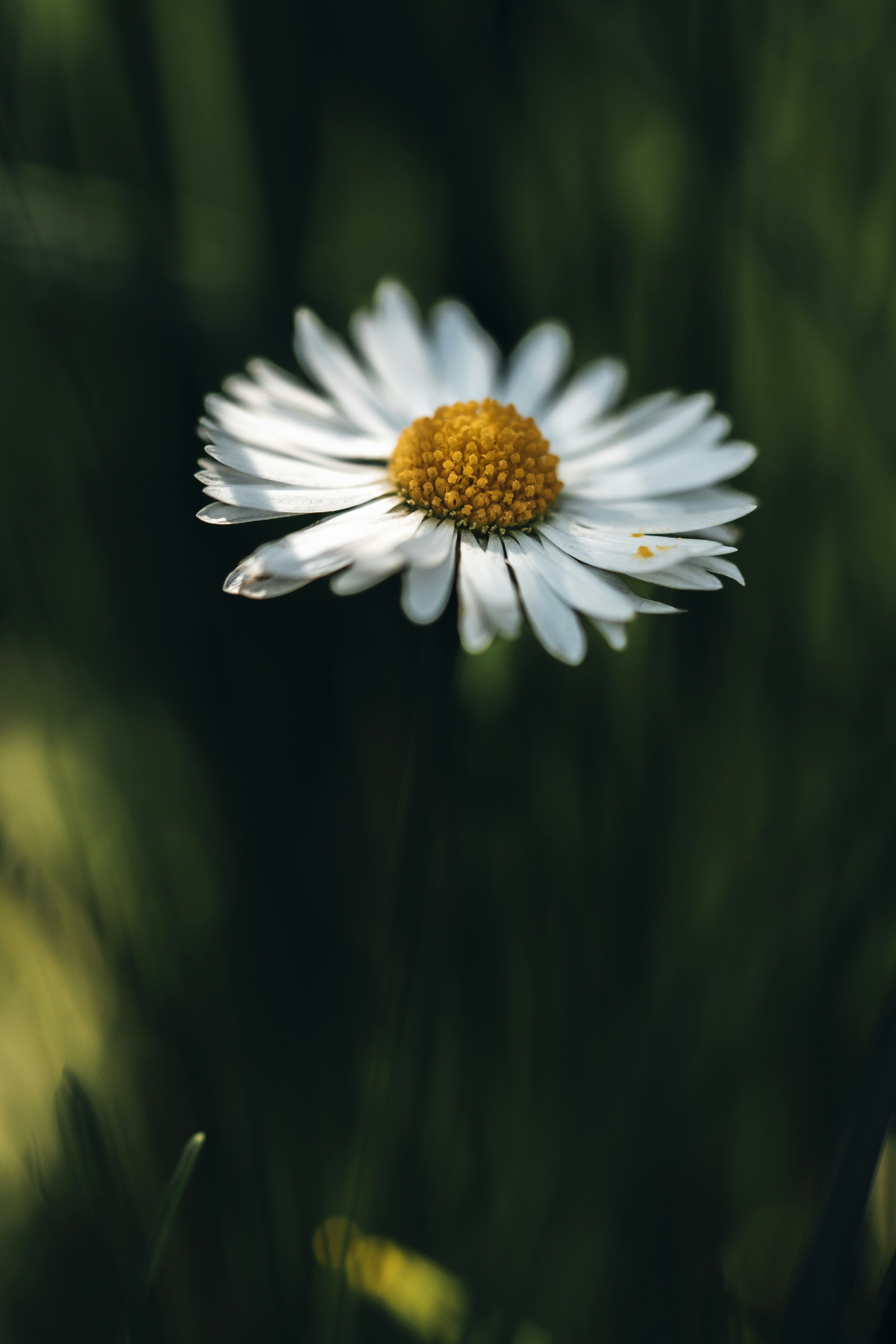 Photo by photosbyfrk