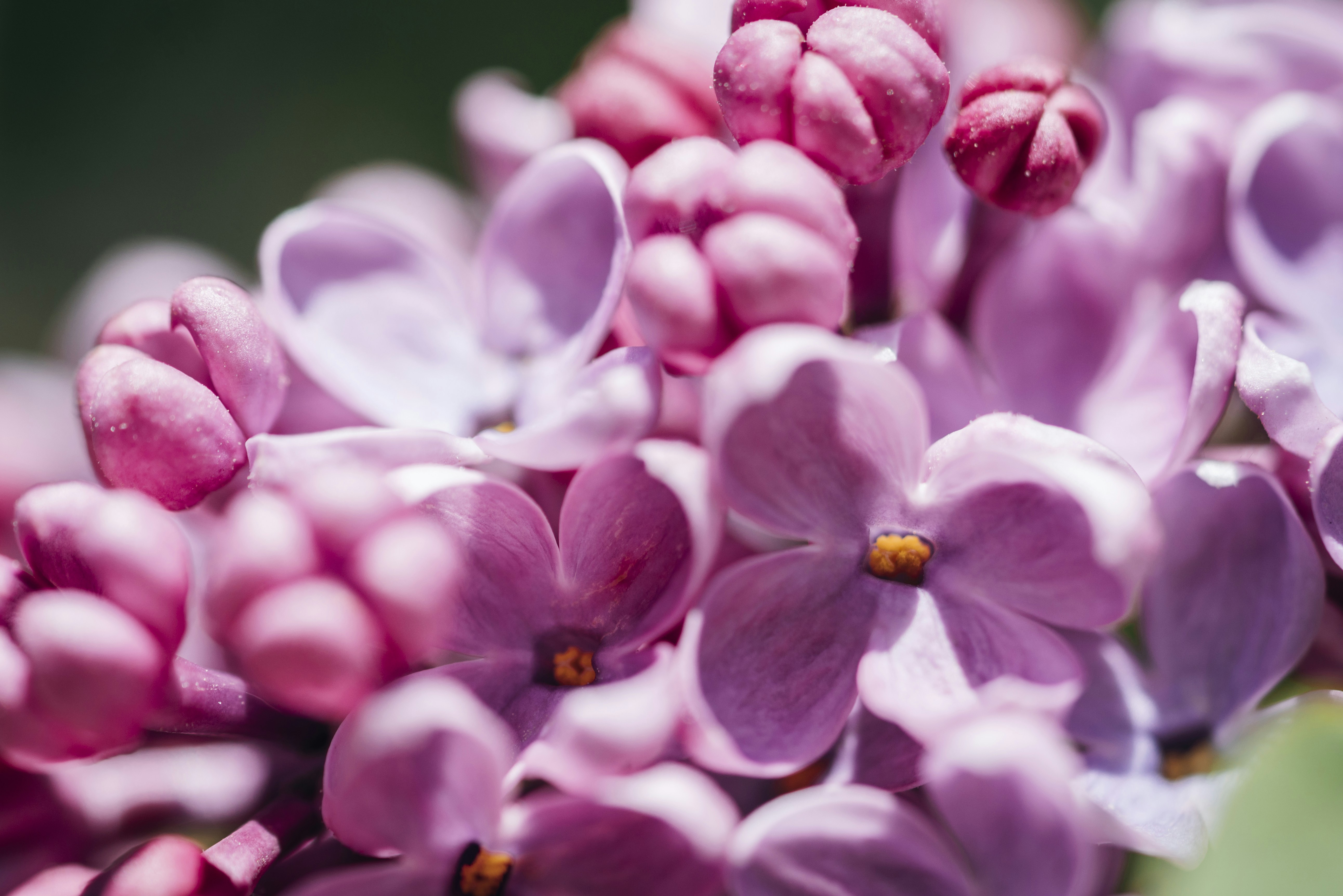 Photo by photosbyfrk