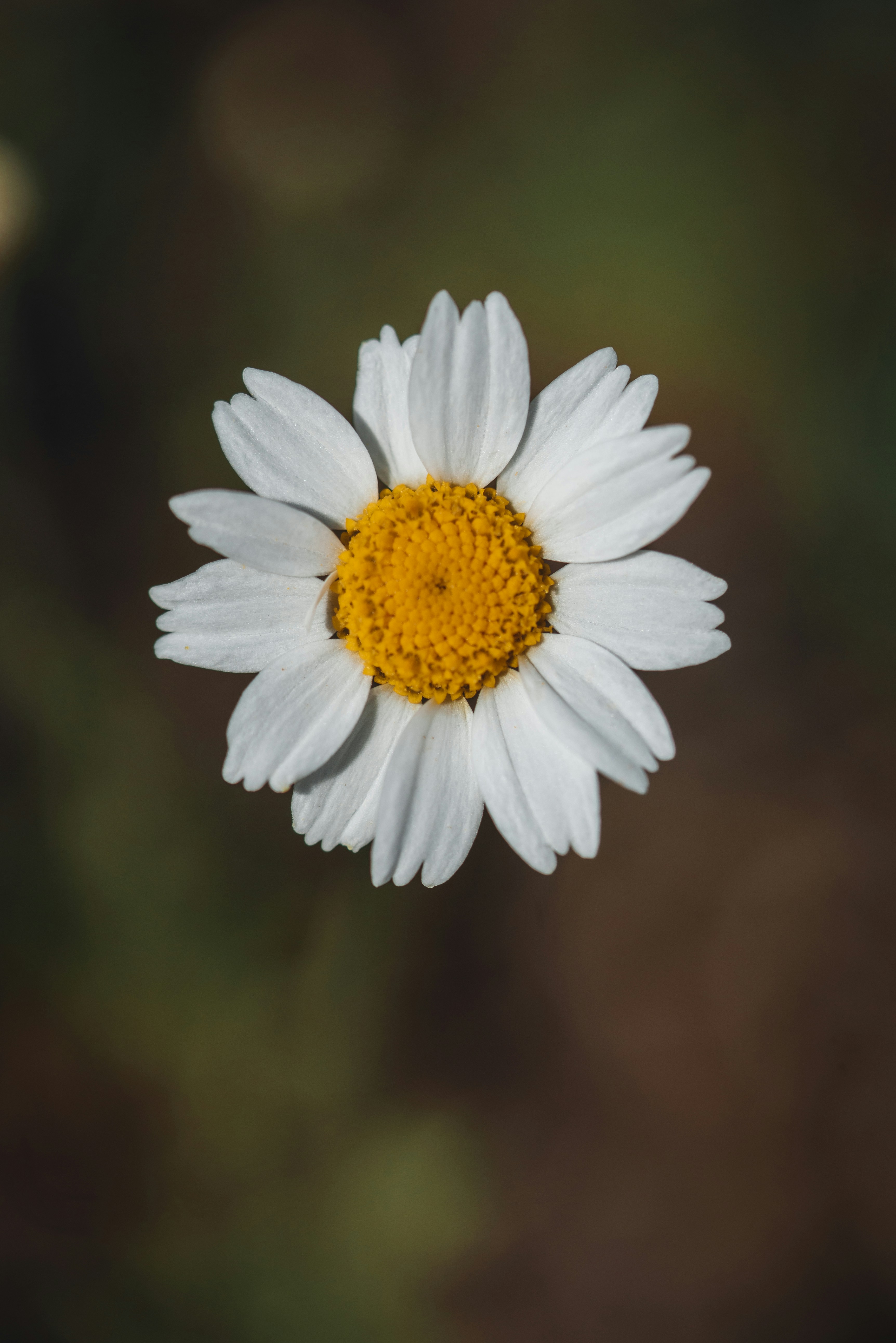 Photo by photosbyfrk