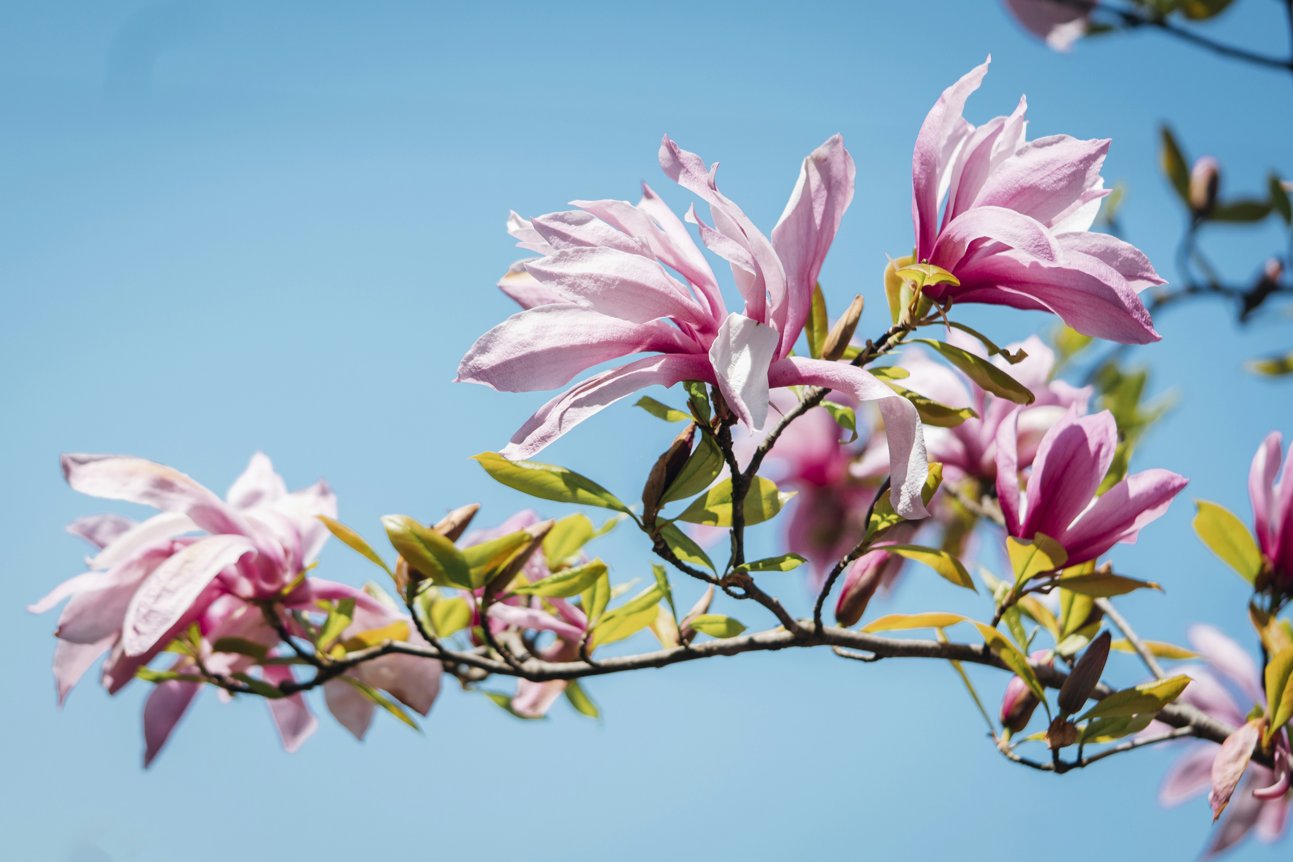 Photo by photosbyfrk