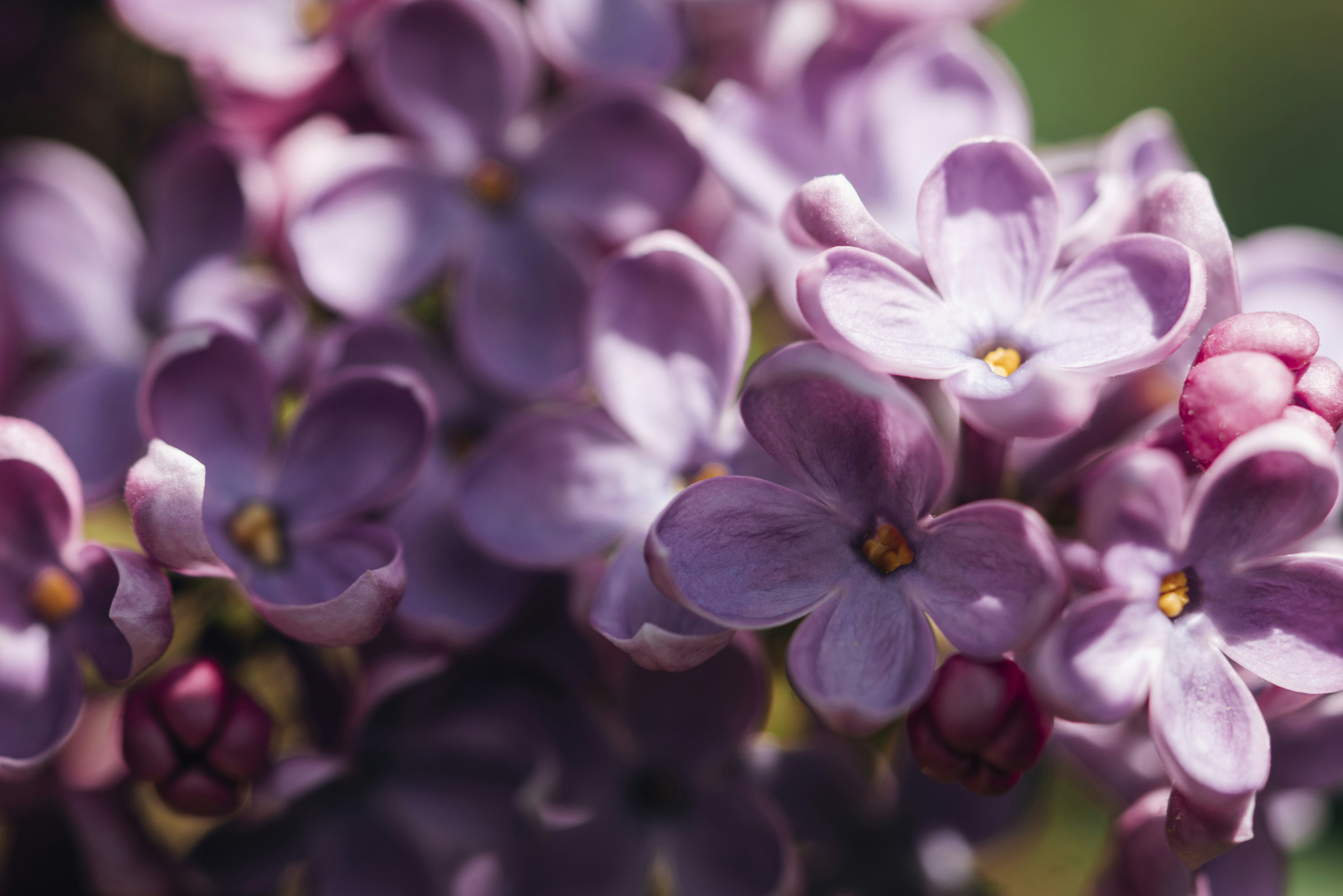 Photo by photosbyfrk