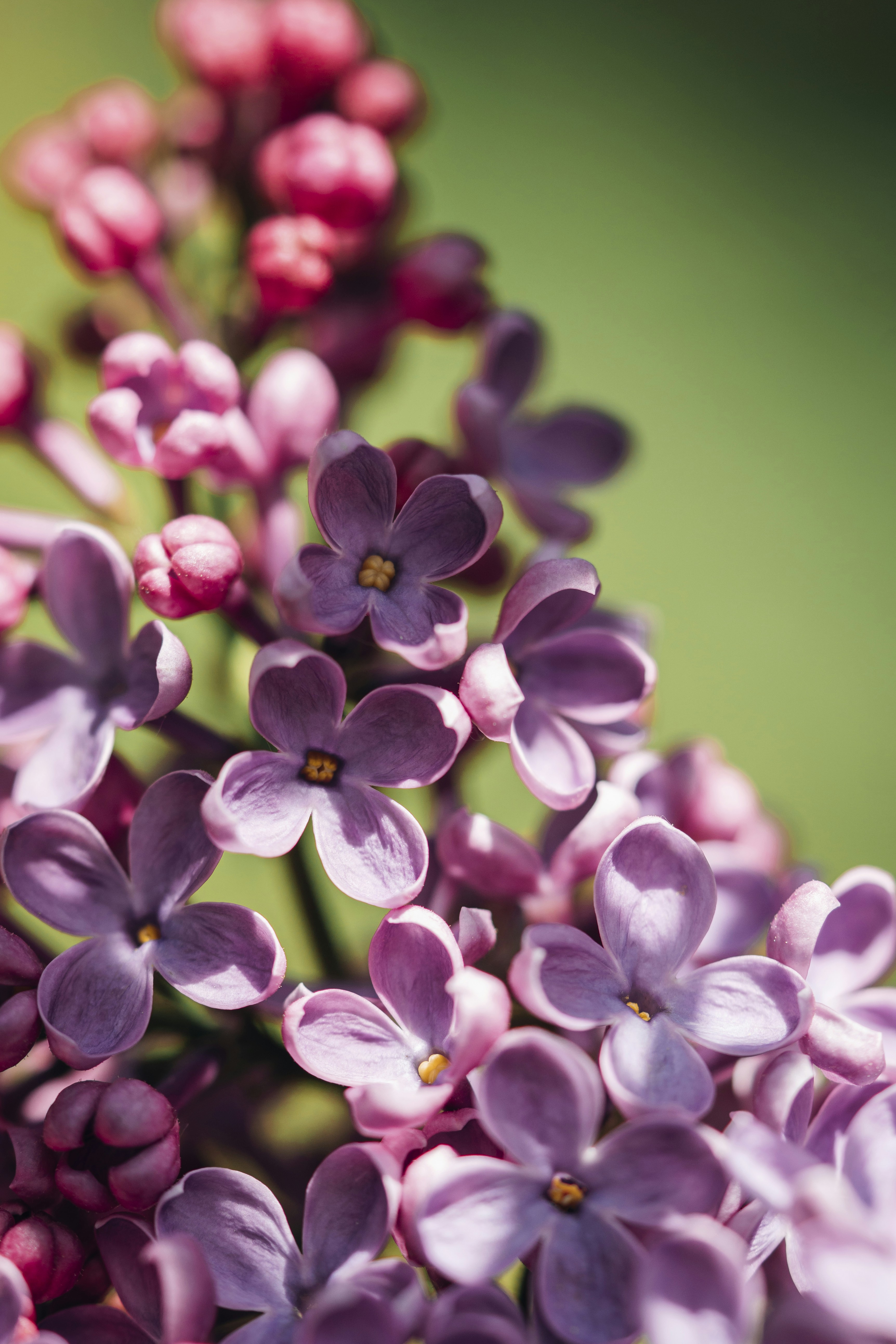 Photo by photosbyfrk