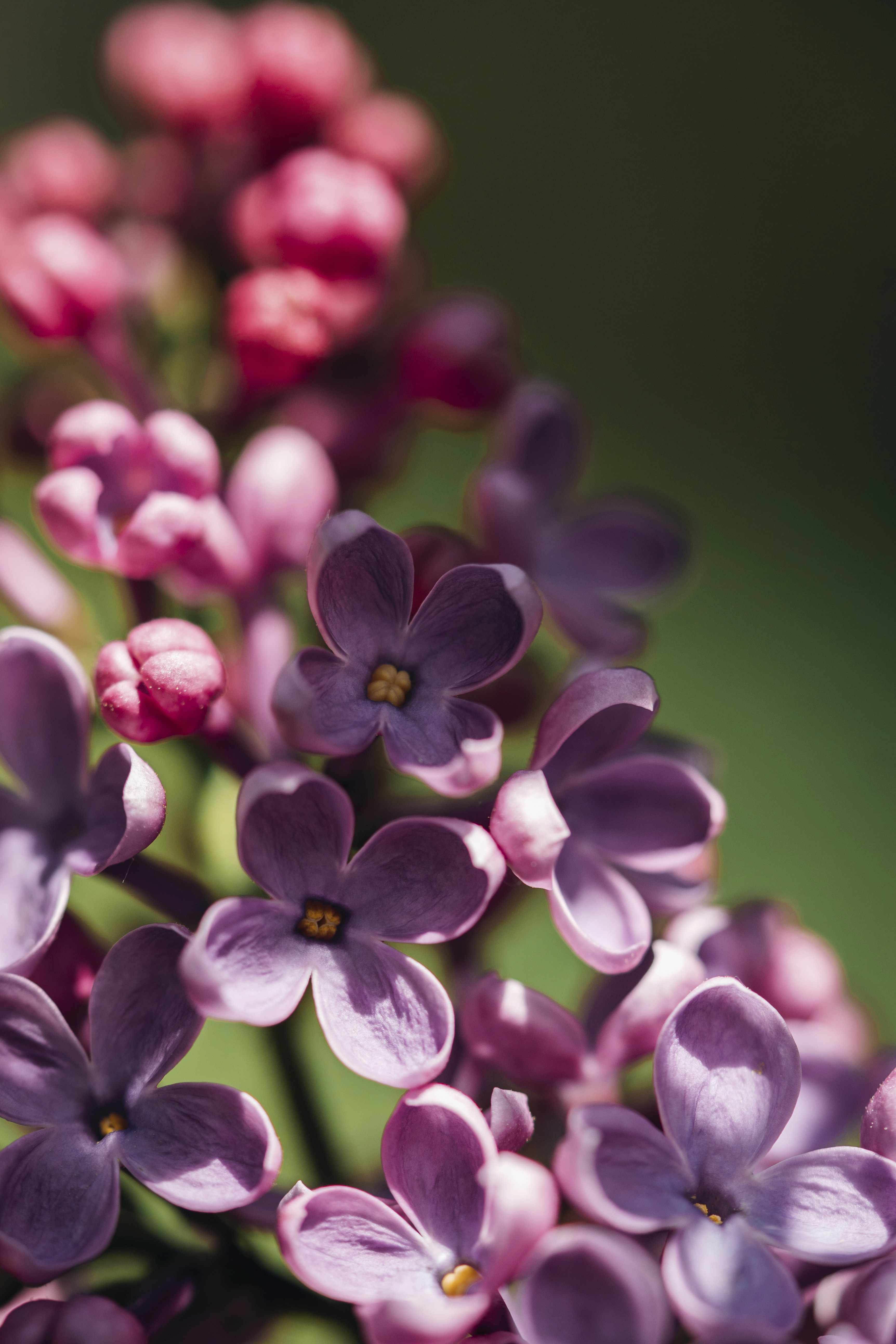 Photo by photosbyfrk