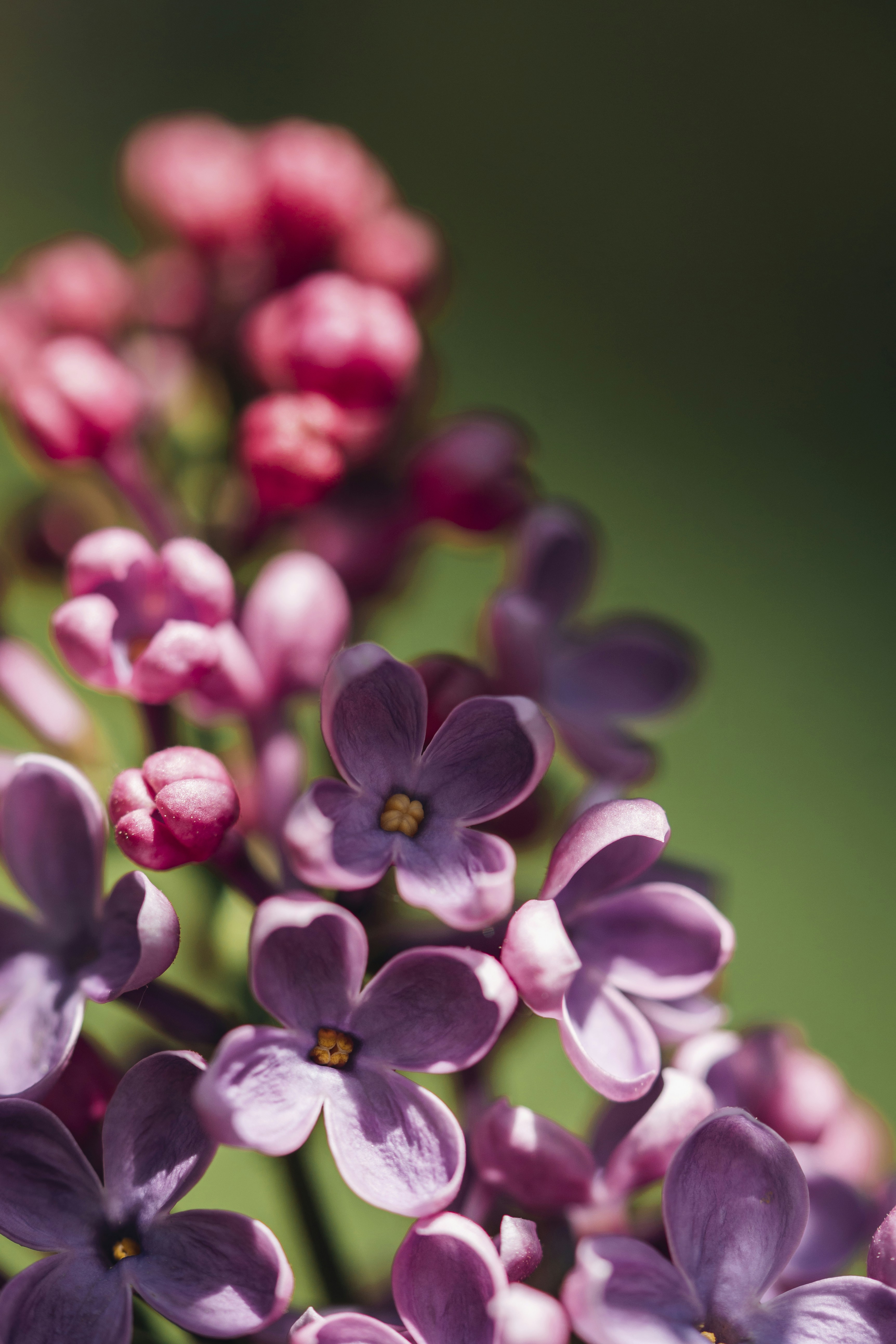 Photo by photosbyfrk