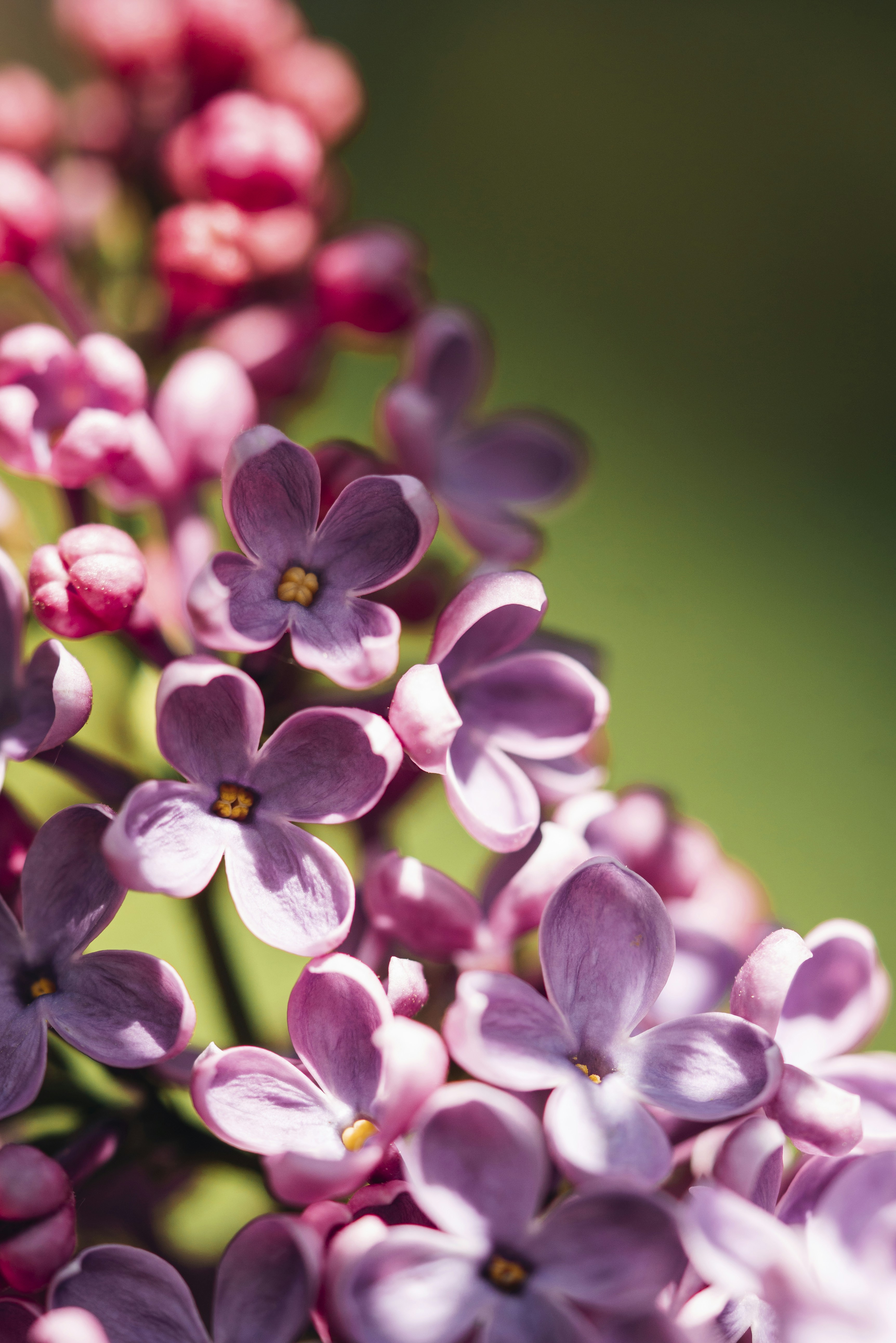 Photo by photosbyfrk