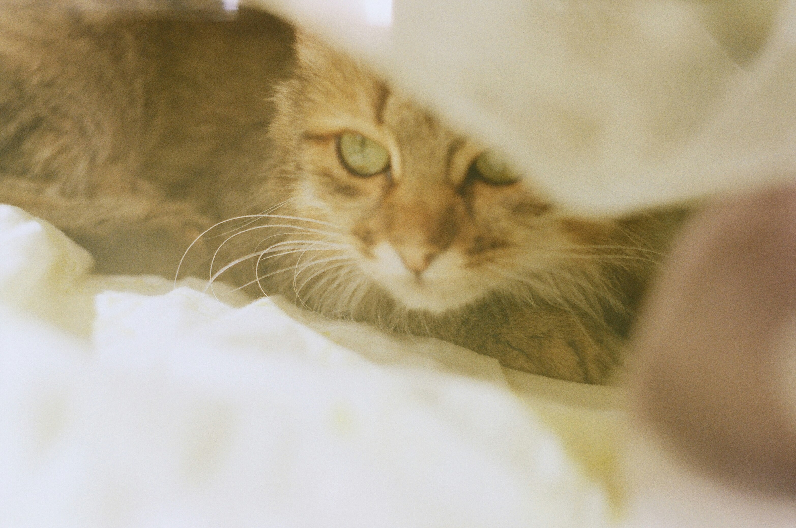 Make Comfort a Daily Priority (image credits: unsplash)