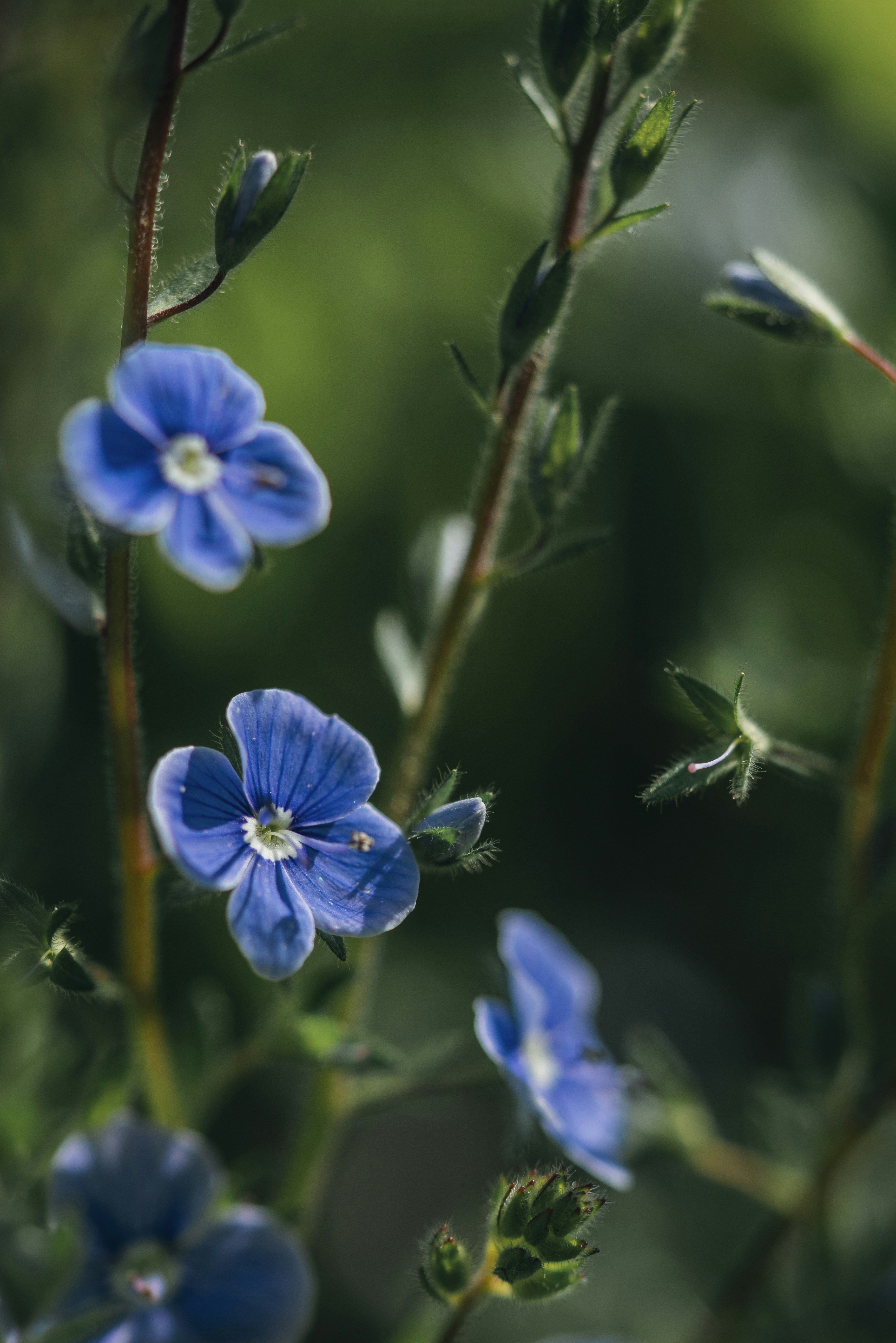 Photo by photosbyfrk