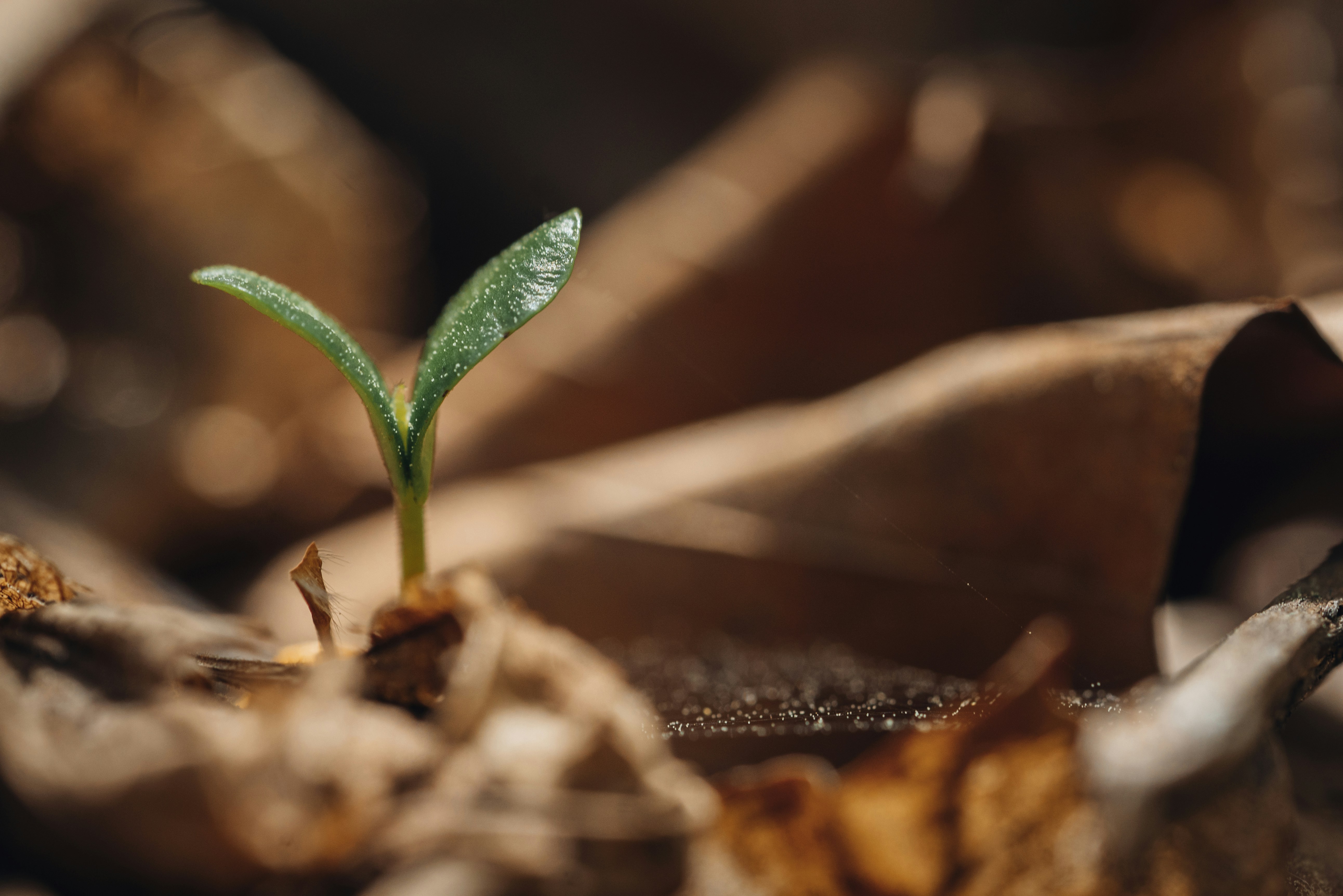 Photo by photosbyfrk