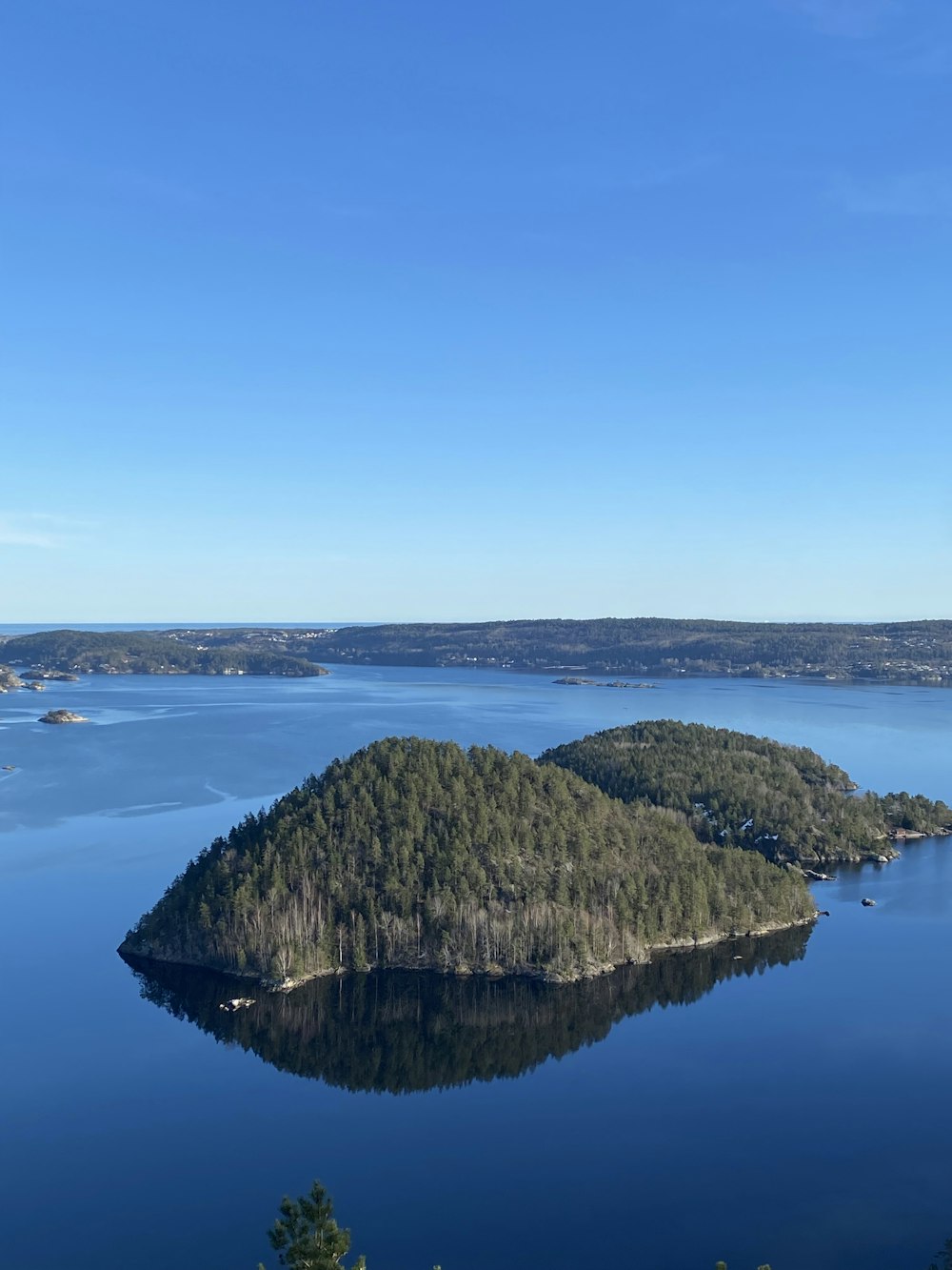 an island with trees and water