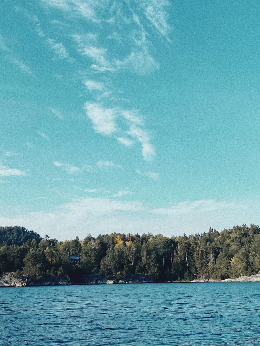 a body of water with trees and a land with a building on it