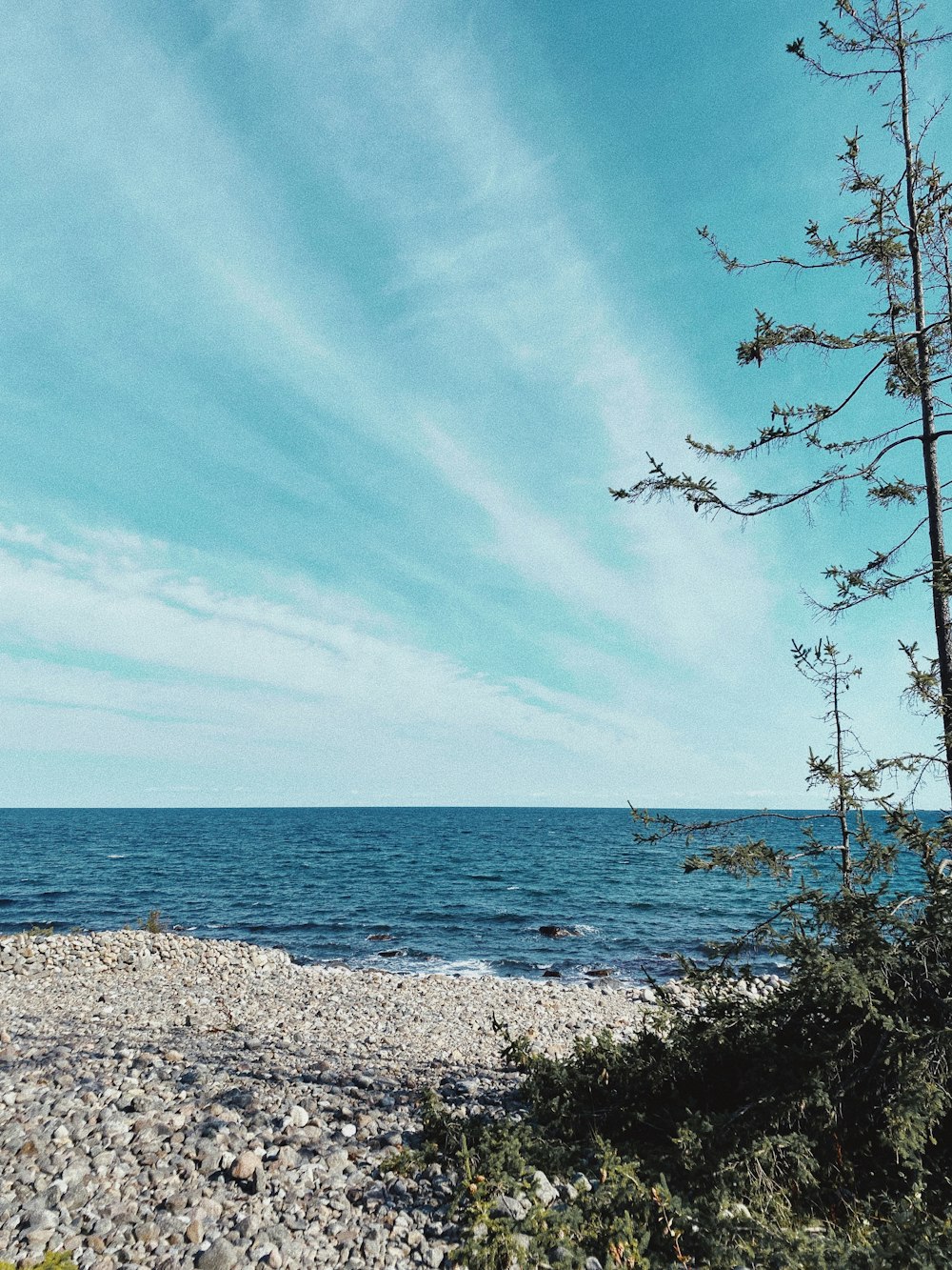 a rocky beach with a body of water in the background