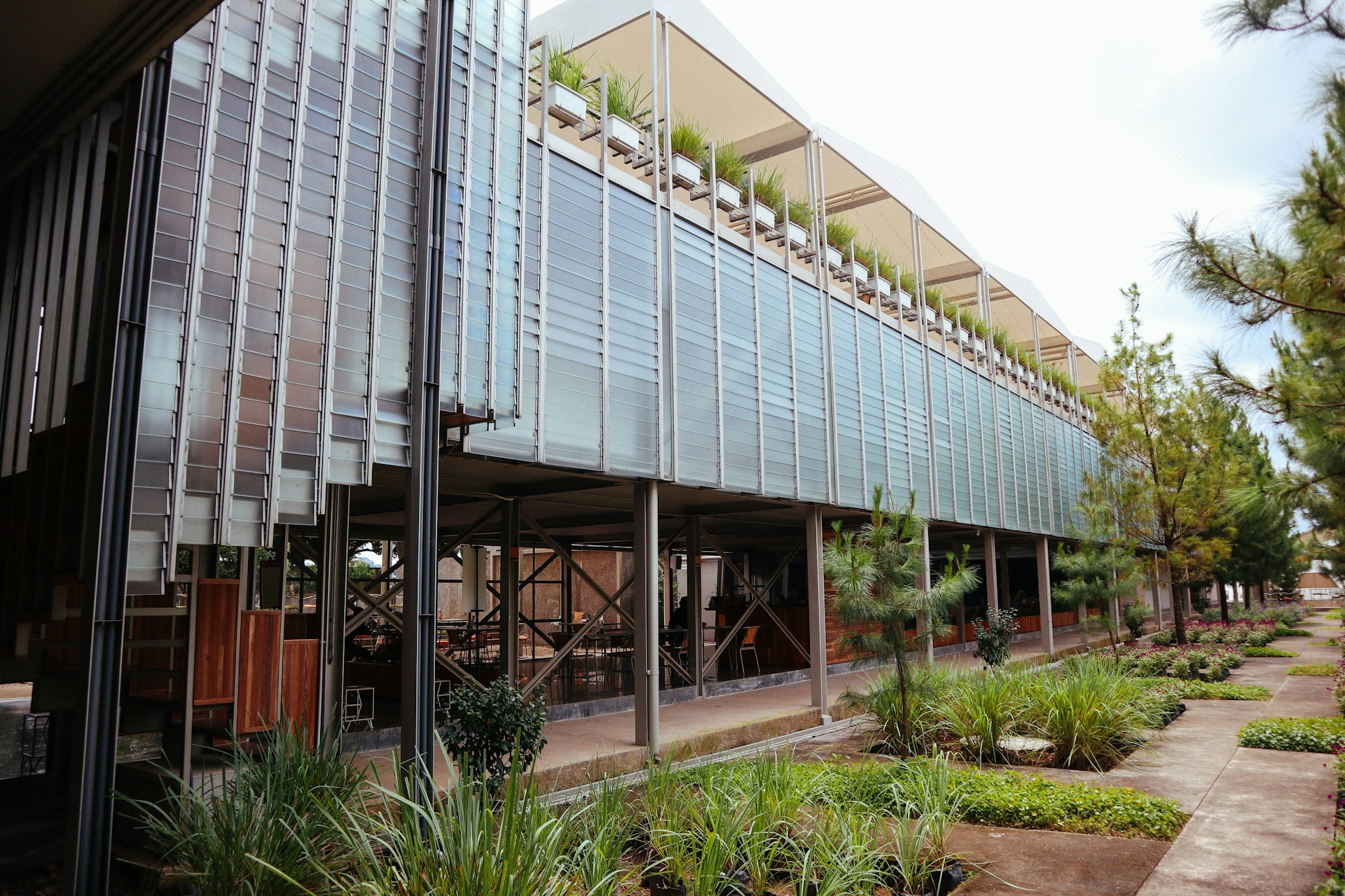 gray computer monitor