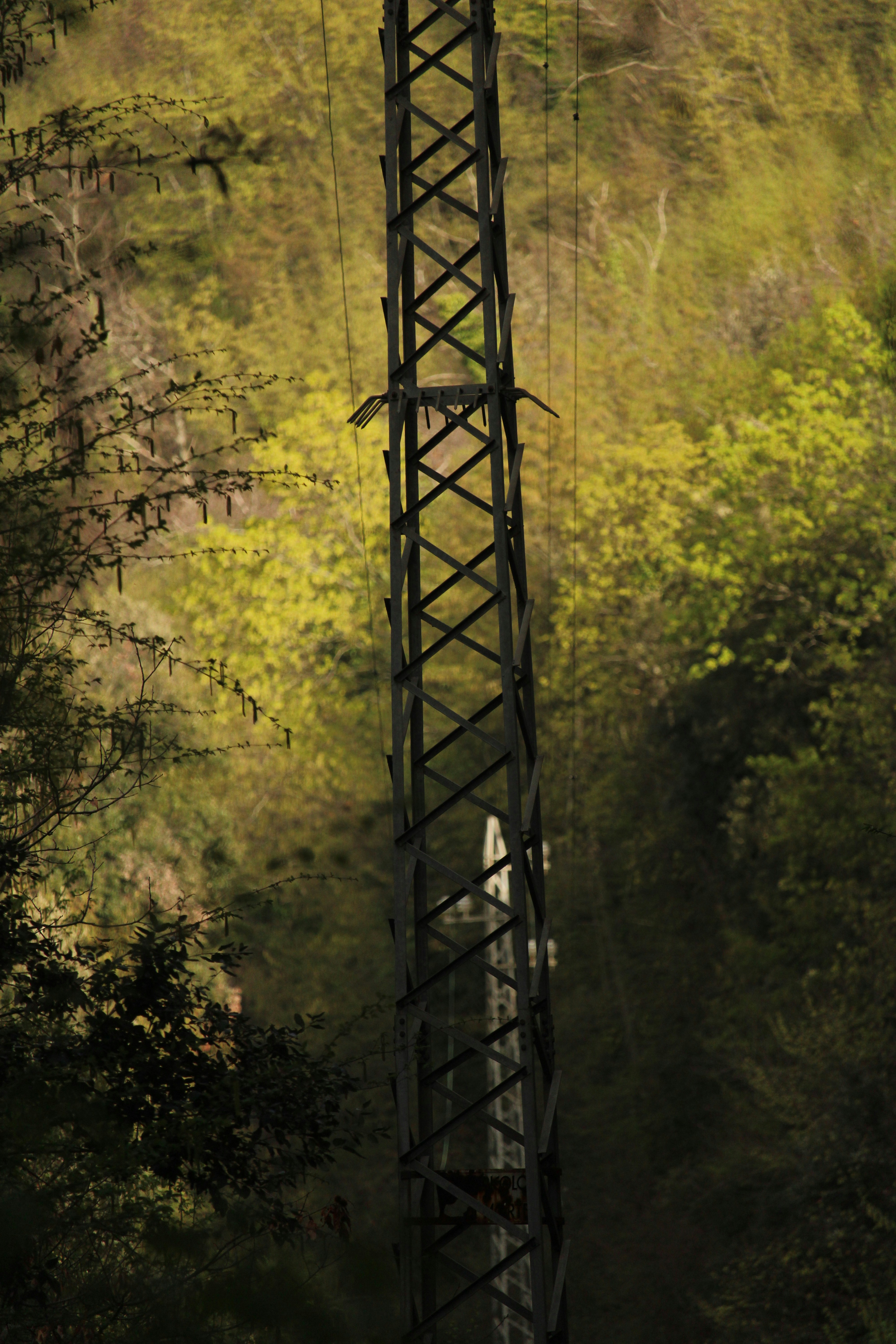Una alta torre de metal en un bosque