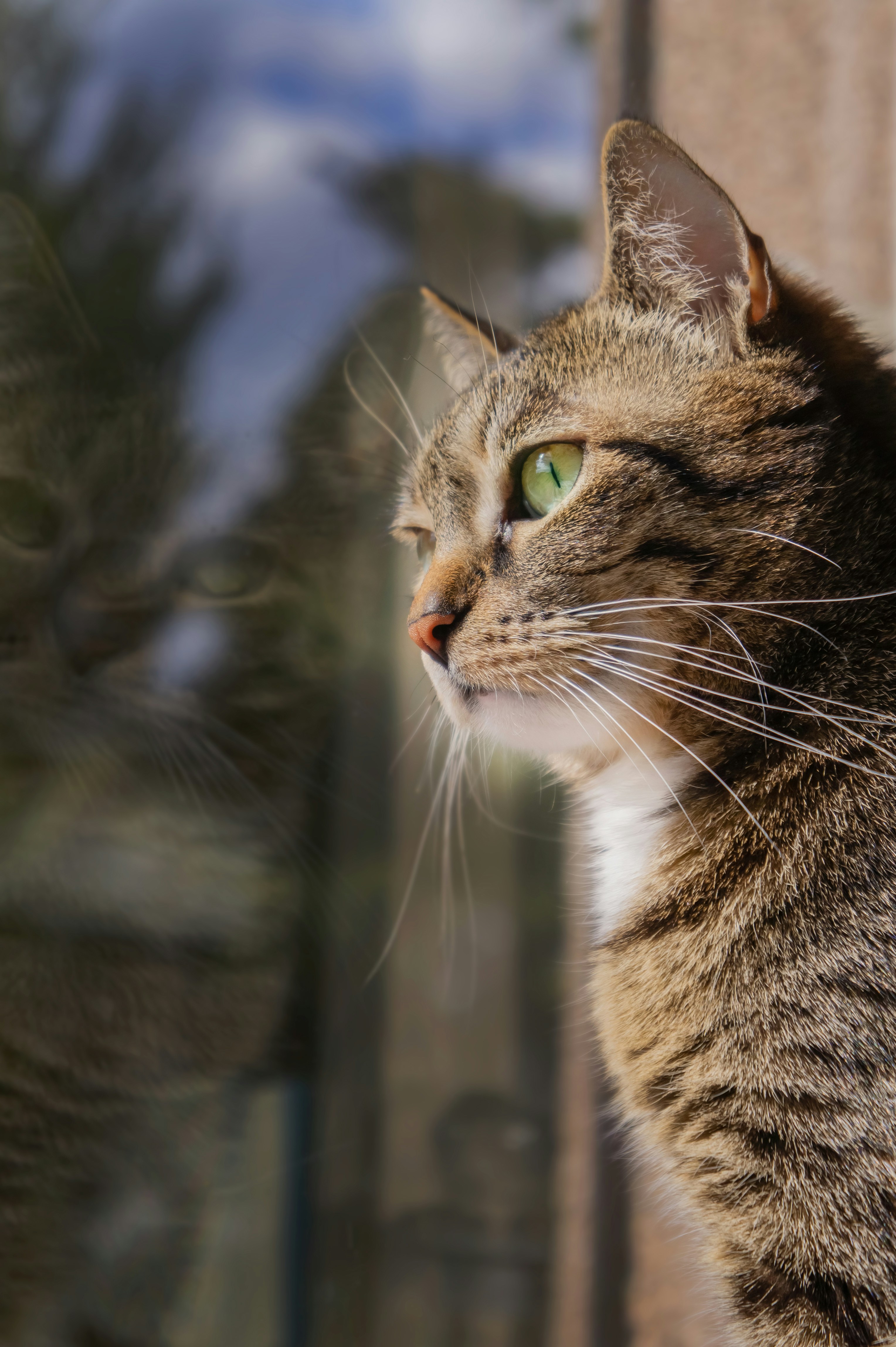 Photo by mateuszwysocki25