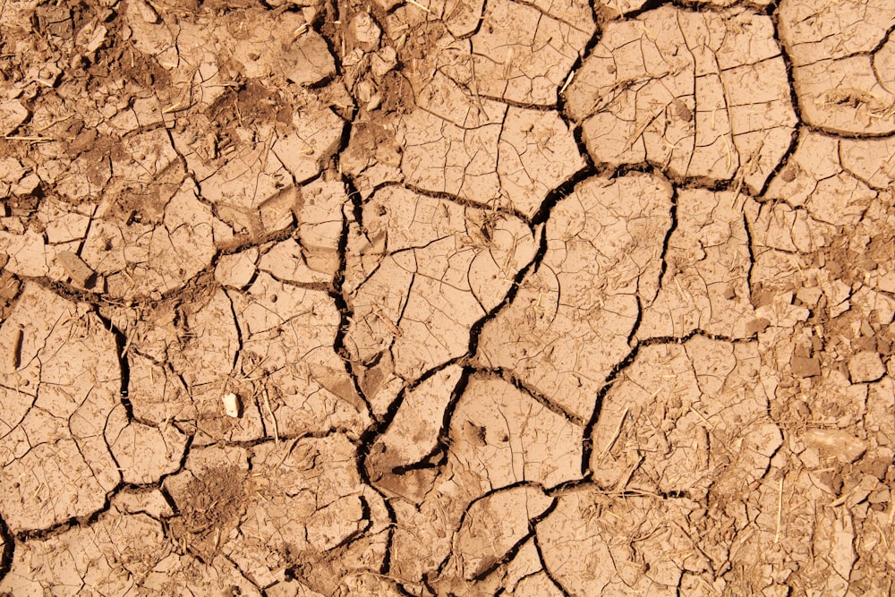 a cracked dry ground