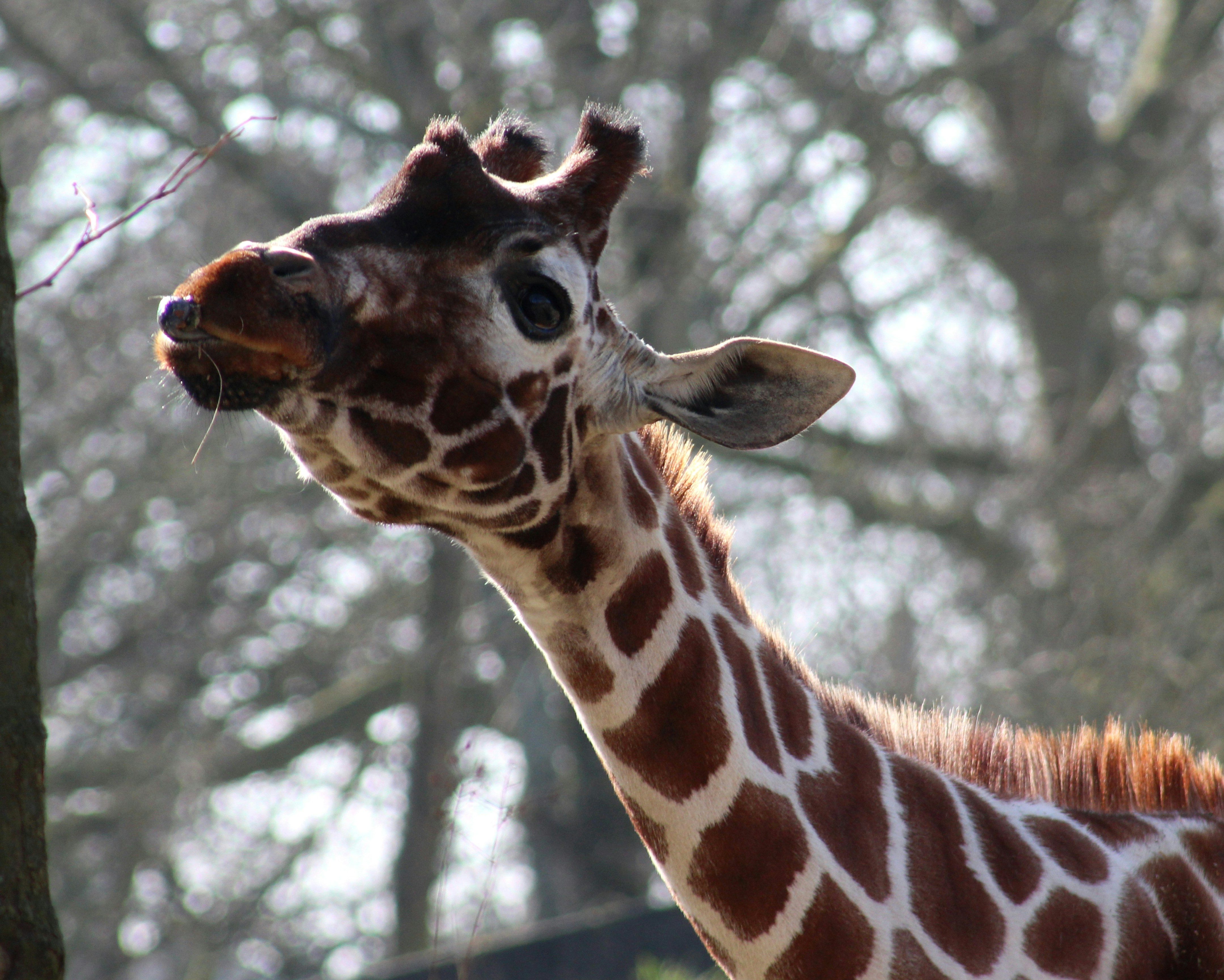 Photo by lapuertagela