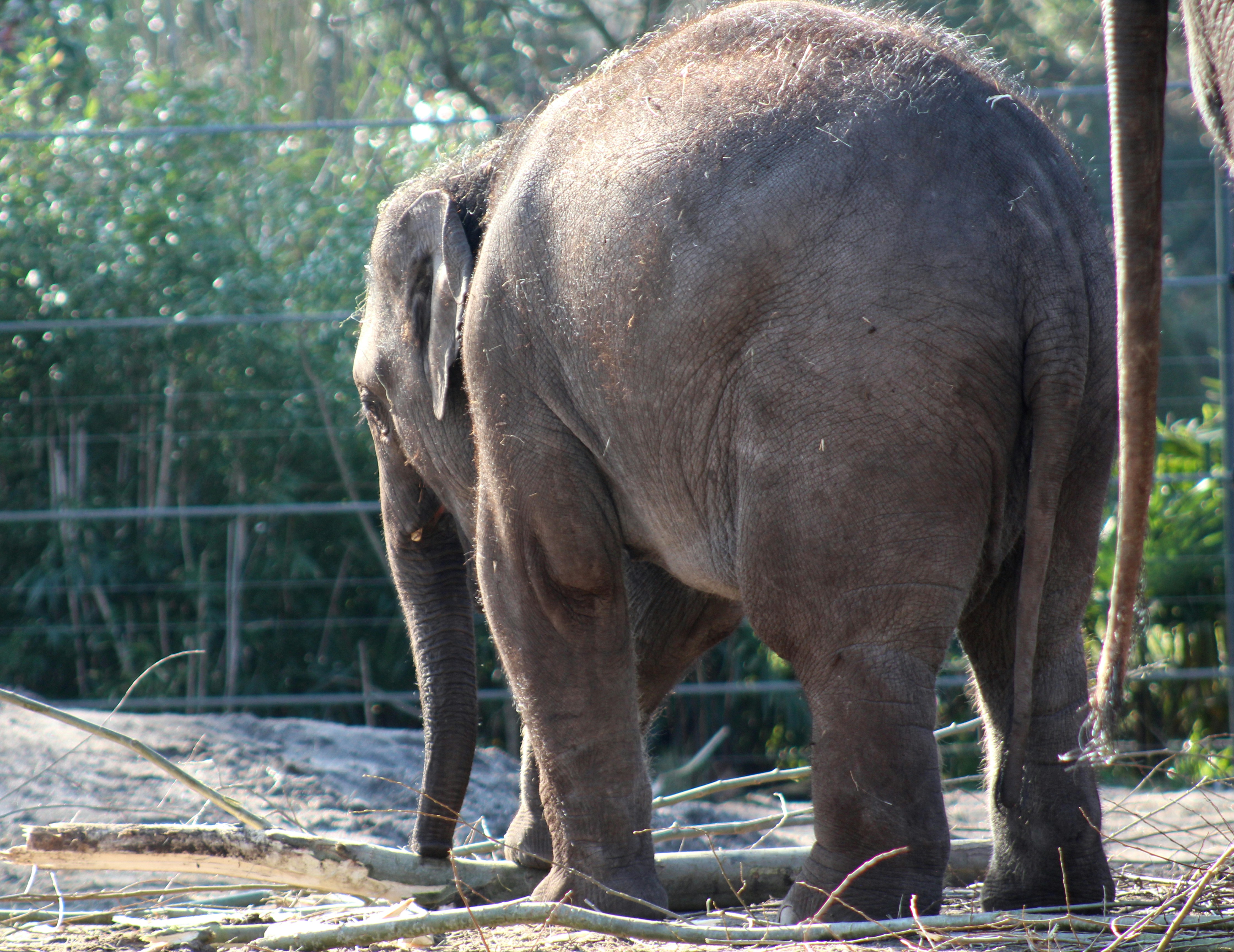 Photo by lapuertagela