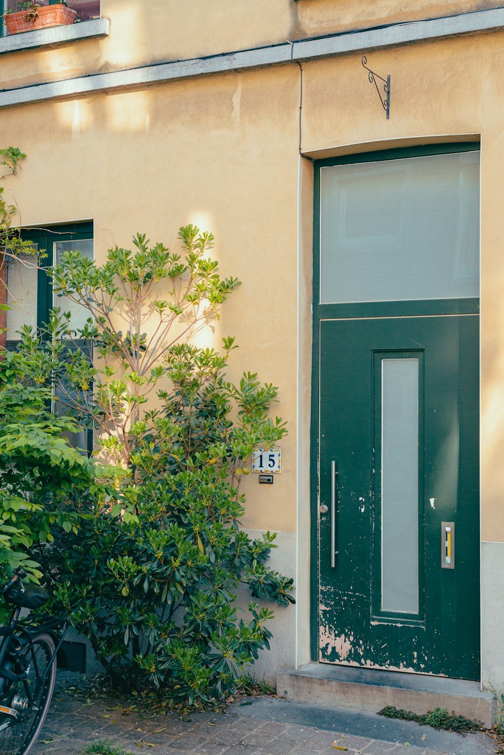 a green door with a tree in front of it