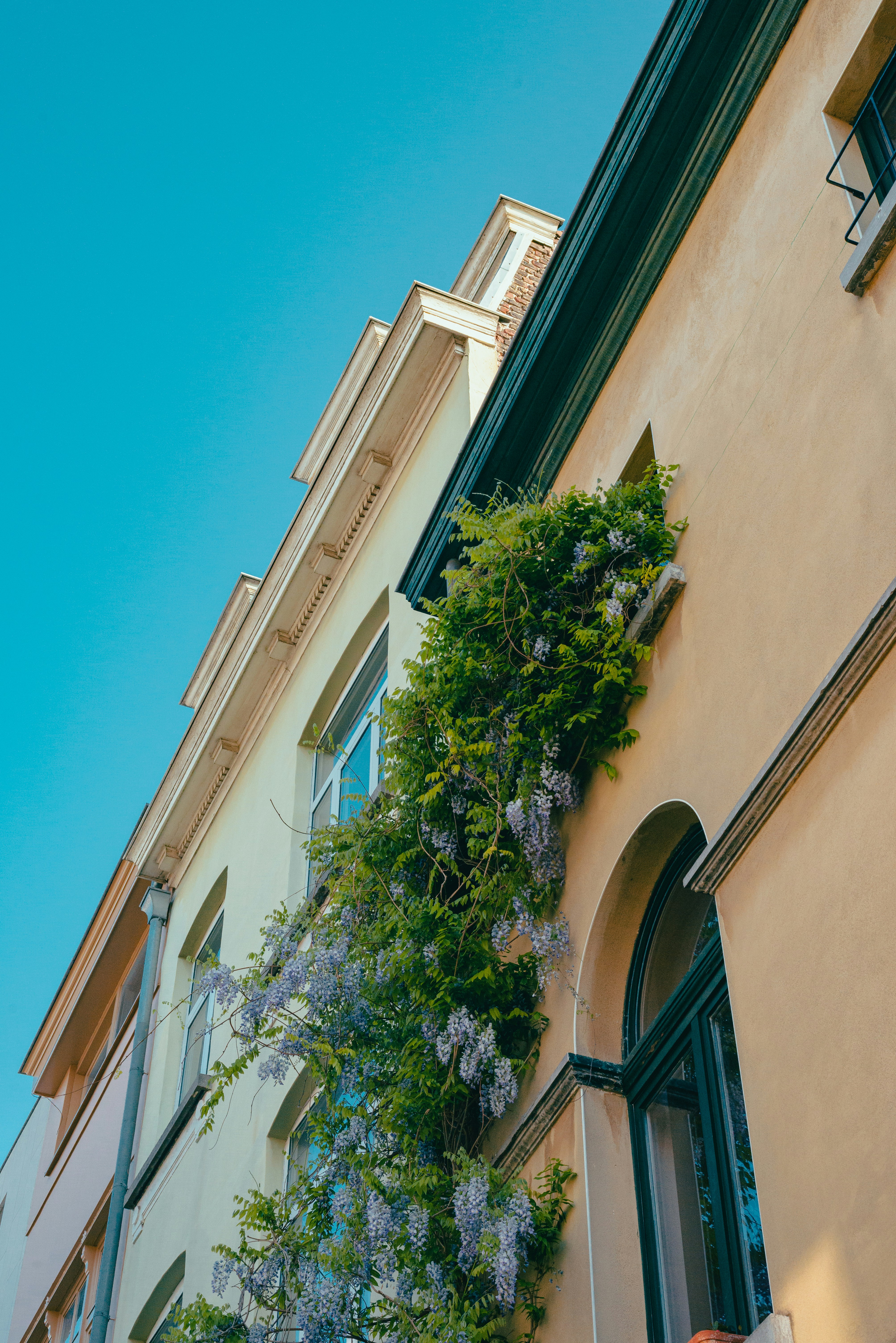 Photo by ricovandevoorde